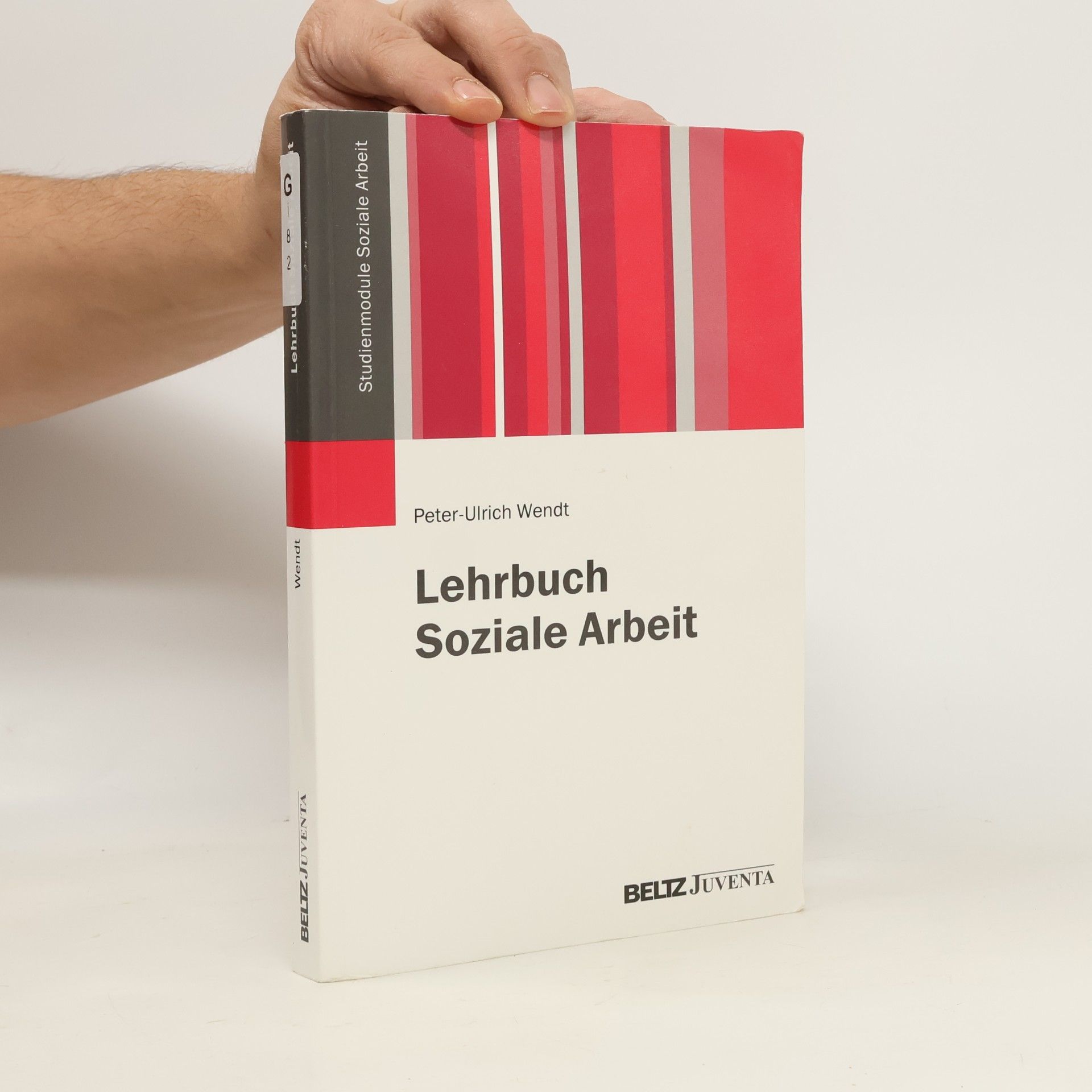 Peter-Ulrich Wendt Studienmodule Soziale Arbeit: Lehrbuch Soziale Arbeit