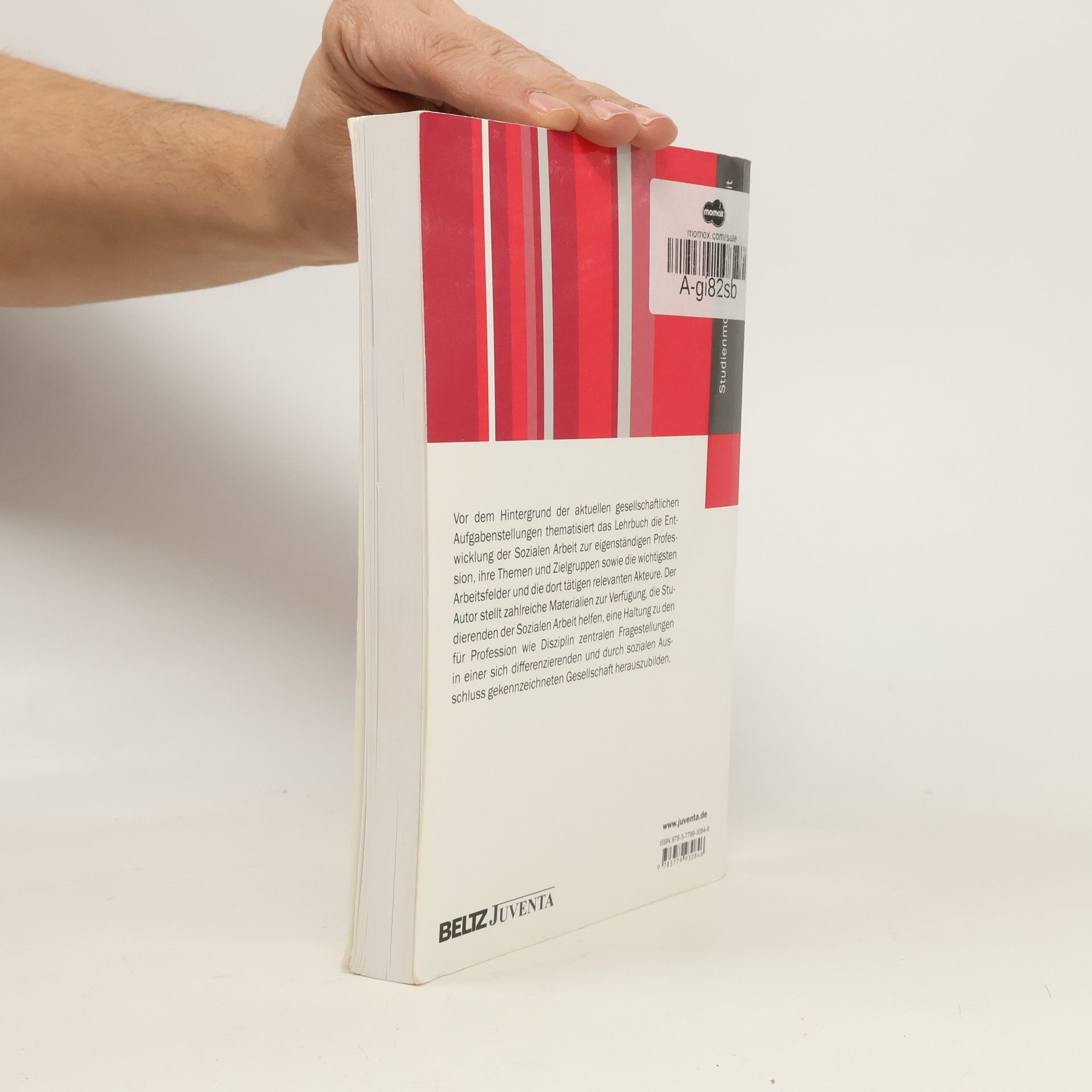 Peter-Ulrich Wendt Studienmodule Soziale Arbeit: Lehrbuch Soziale Arbeit