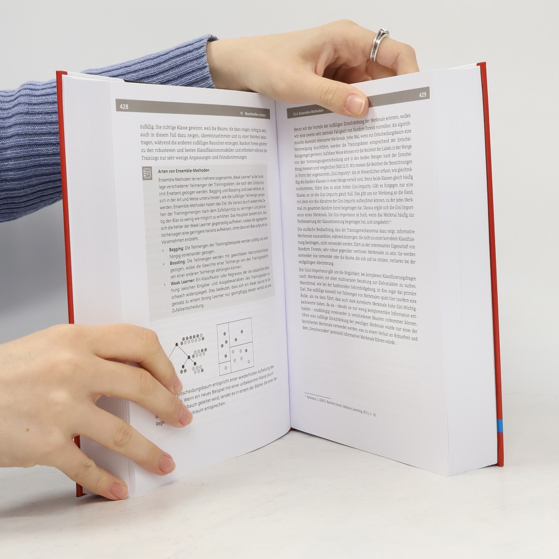 Katherine Munro Handbuch Data Science und KI