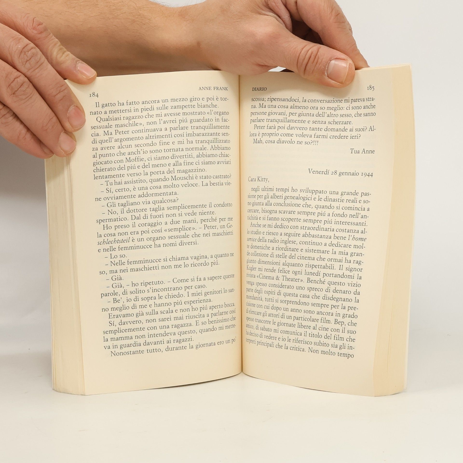 Anne Frank Diario
