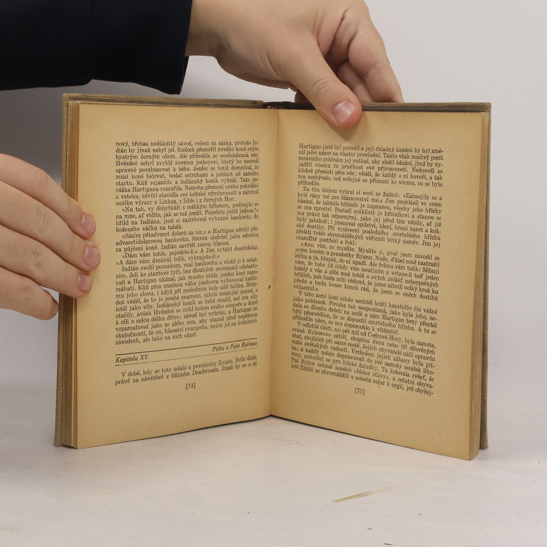 Ernest Thompson Seton Úsvit na Cedrové hoře. Román divokého západu