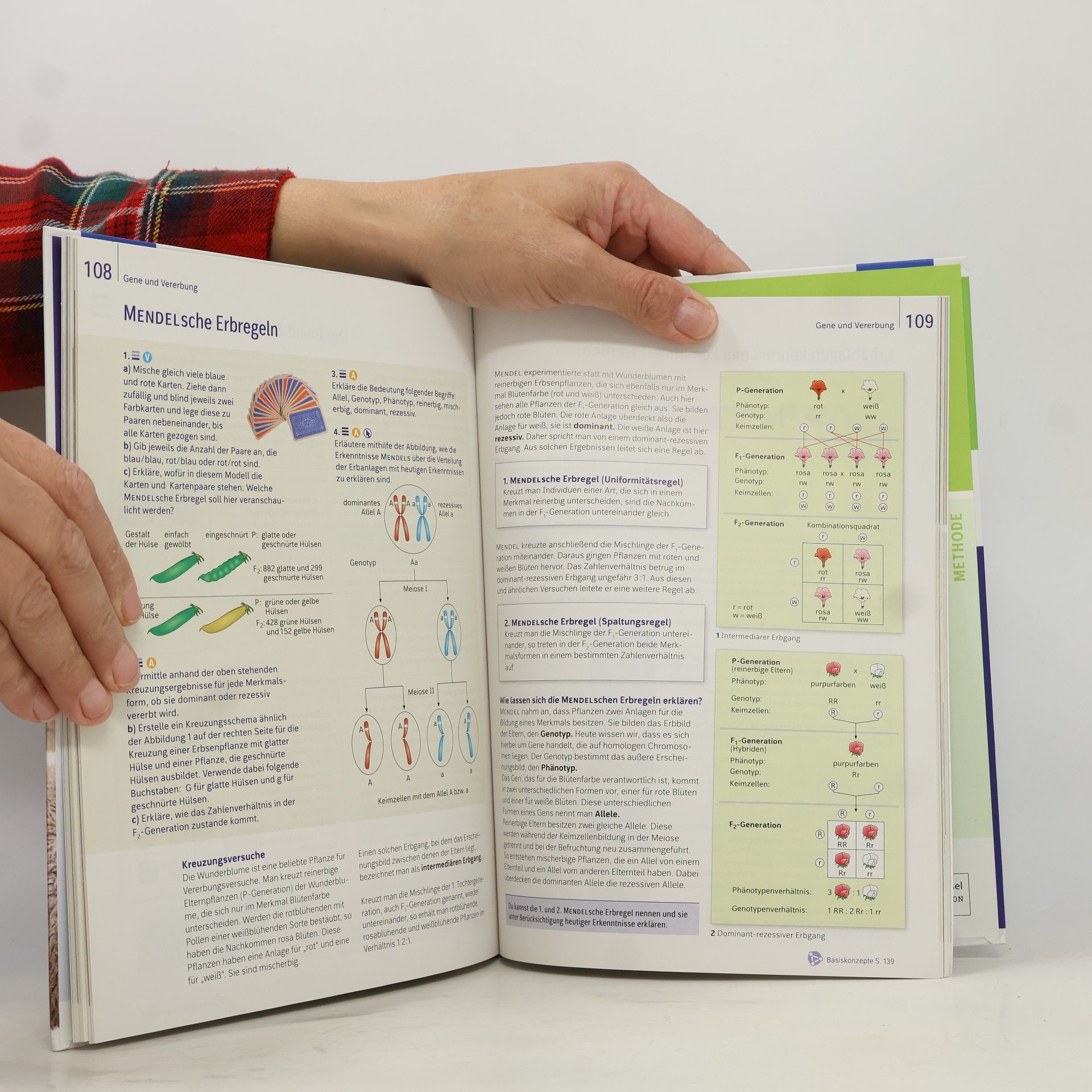 Imme Freundner-Huneke Erlebnis Biologie - differenzierende Ausgabe 2016