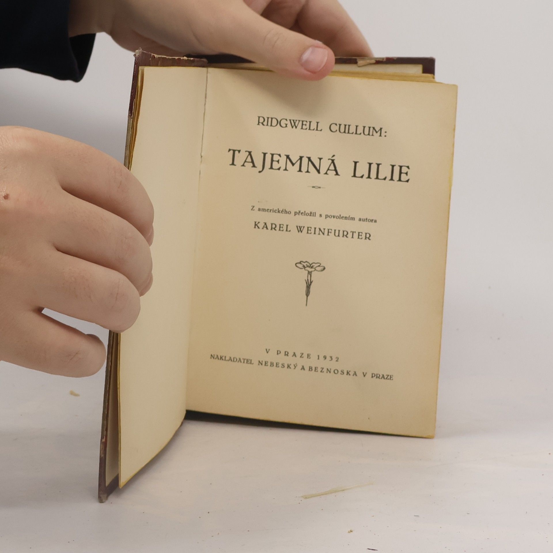 Ridgwell Cullum Tajemná lilie