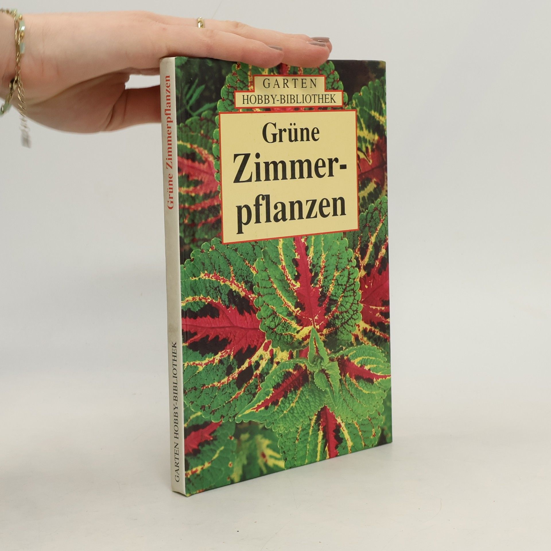 Grüne Zimmerpflanzen