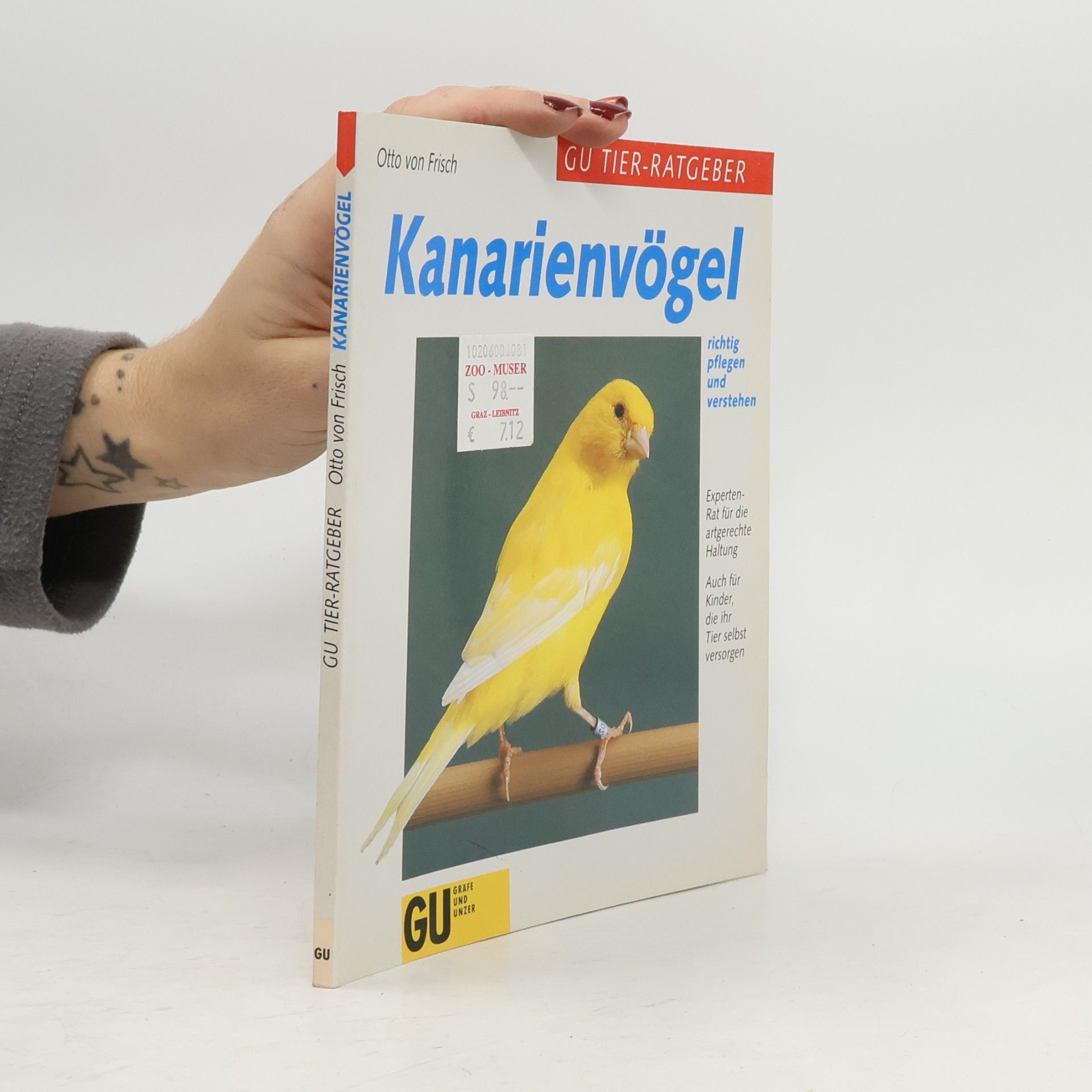 Kanarienvögel richtig pflegen und verstehen