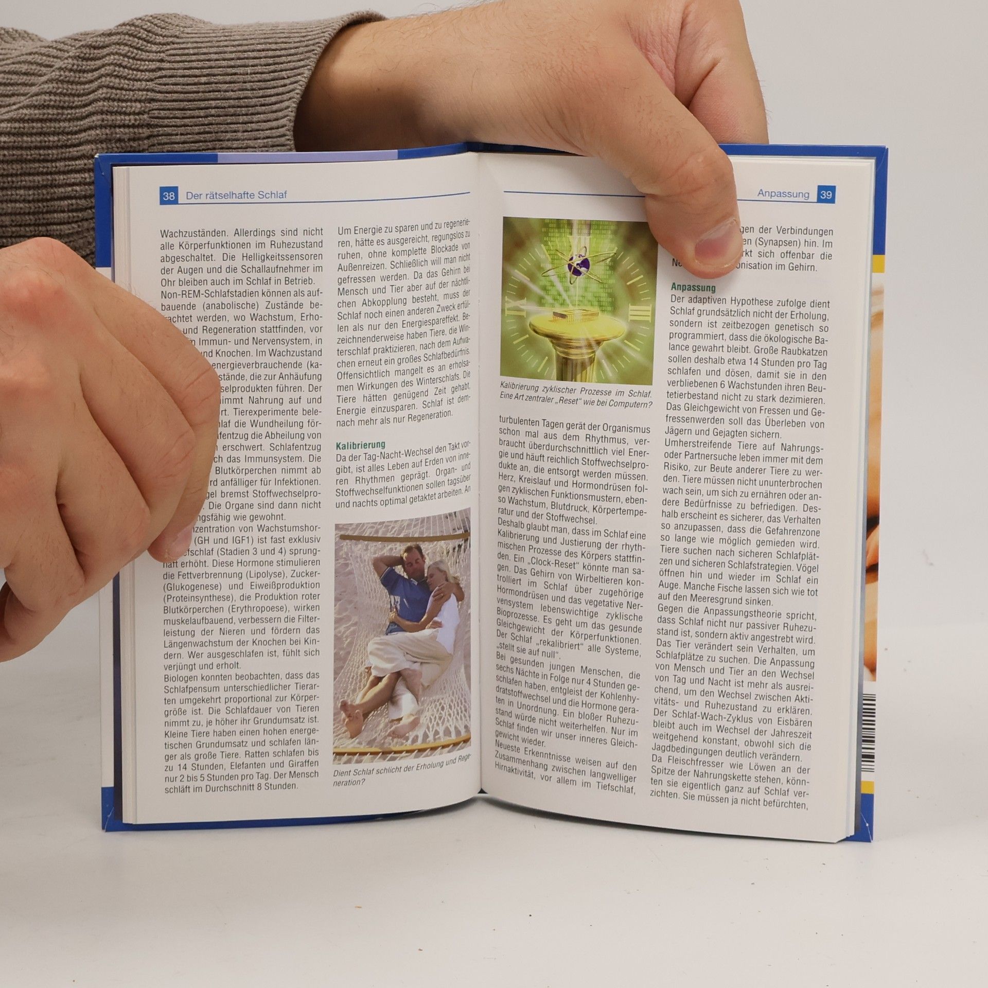 Autores varios Gut schlafen. Erholsame Nächte