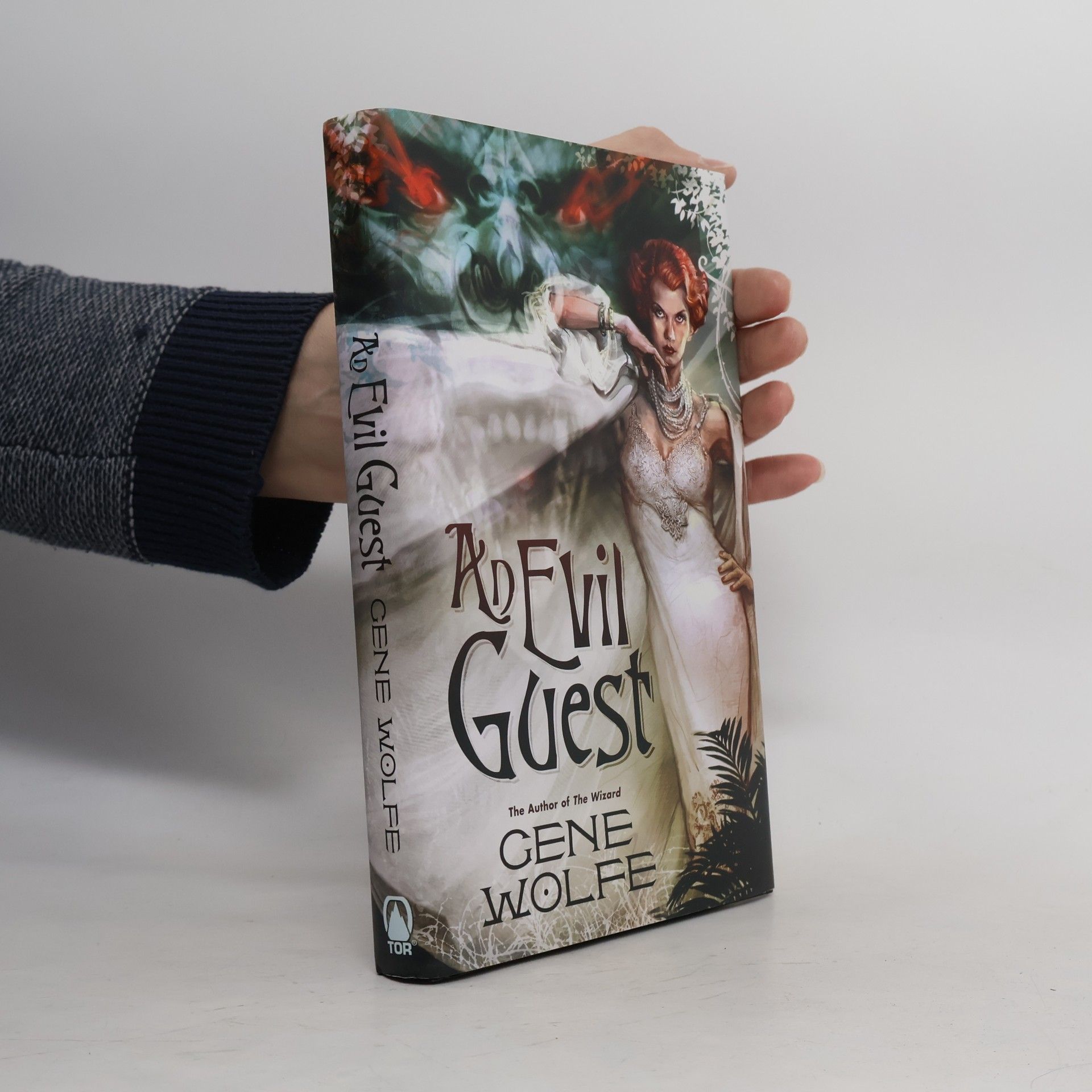 Gene Wolfe An Evil Guest
