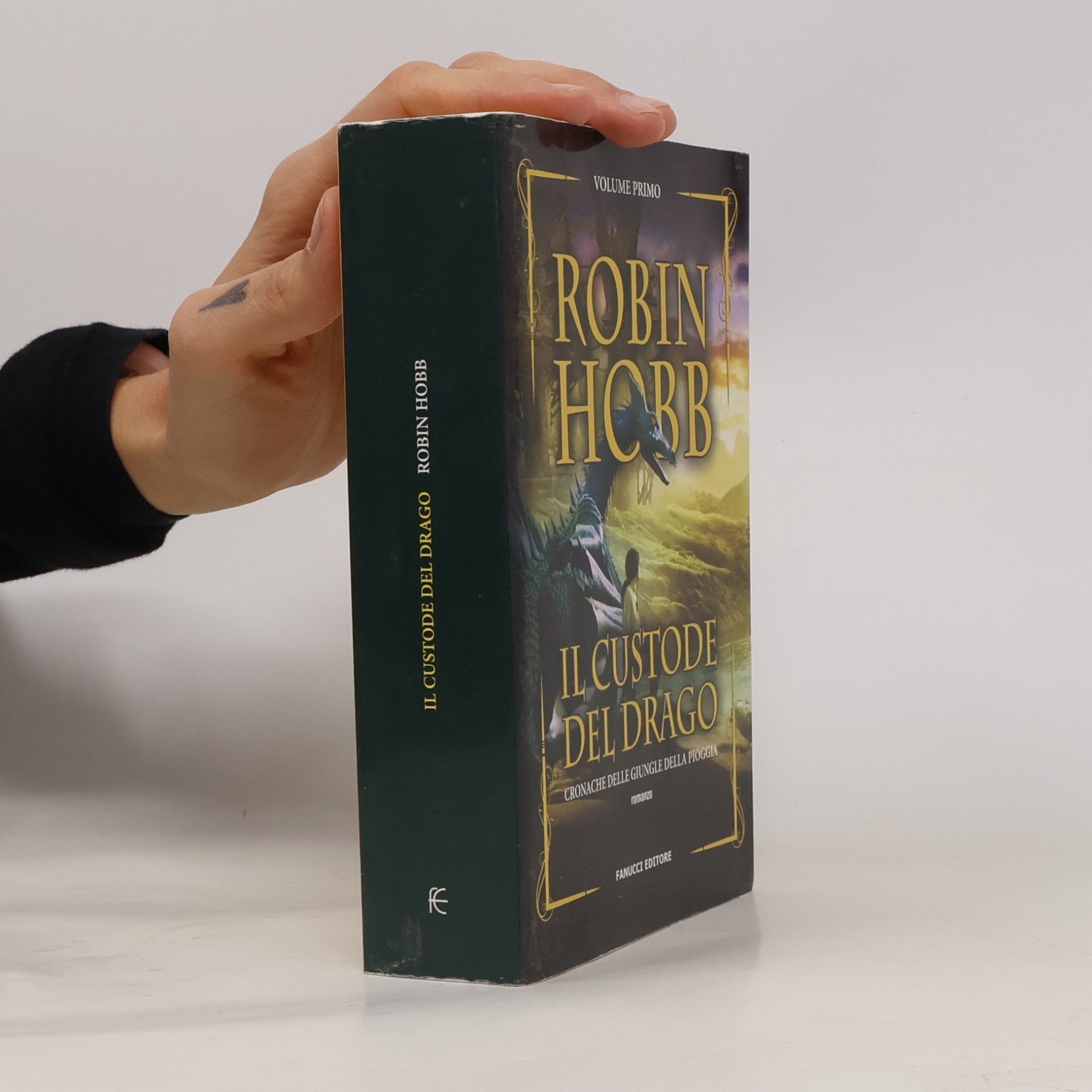 G. Giorgi Cronache delle giungle della pioggia - 1: Il custode del drago (Nuova tascabile)