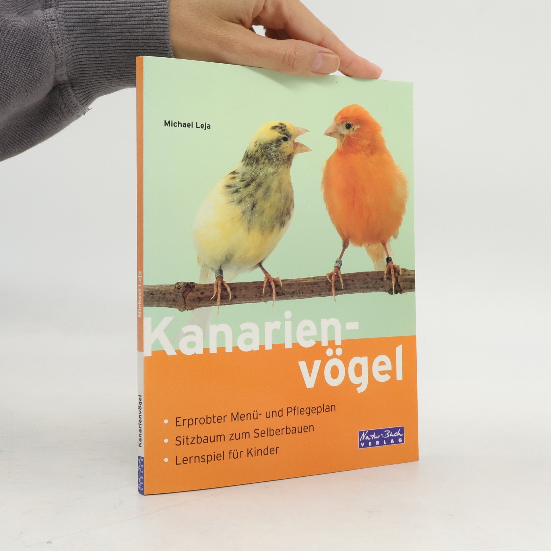 Kanarienvögel