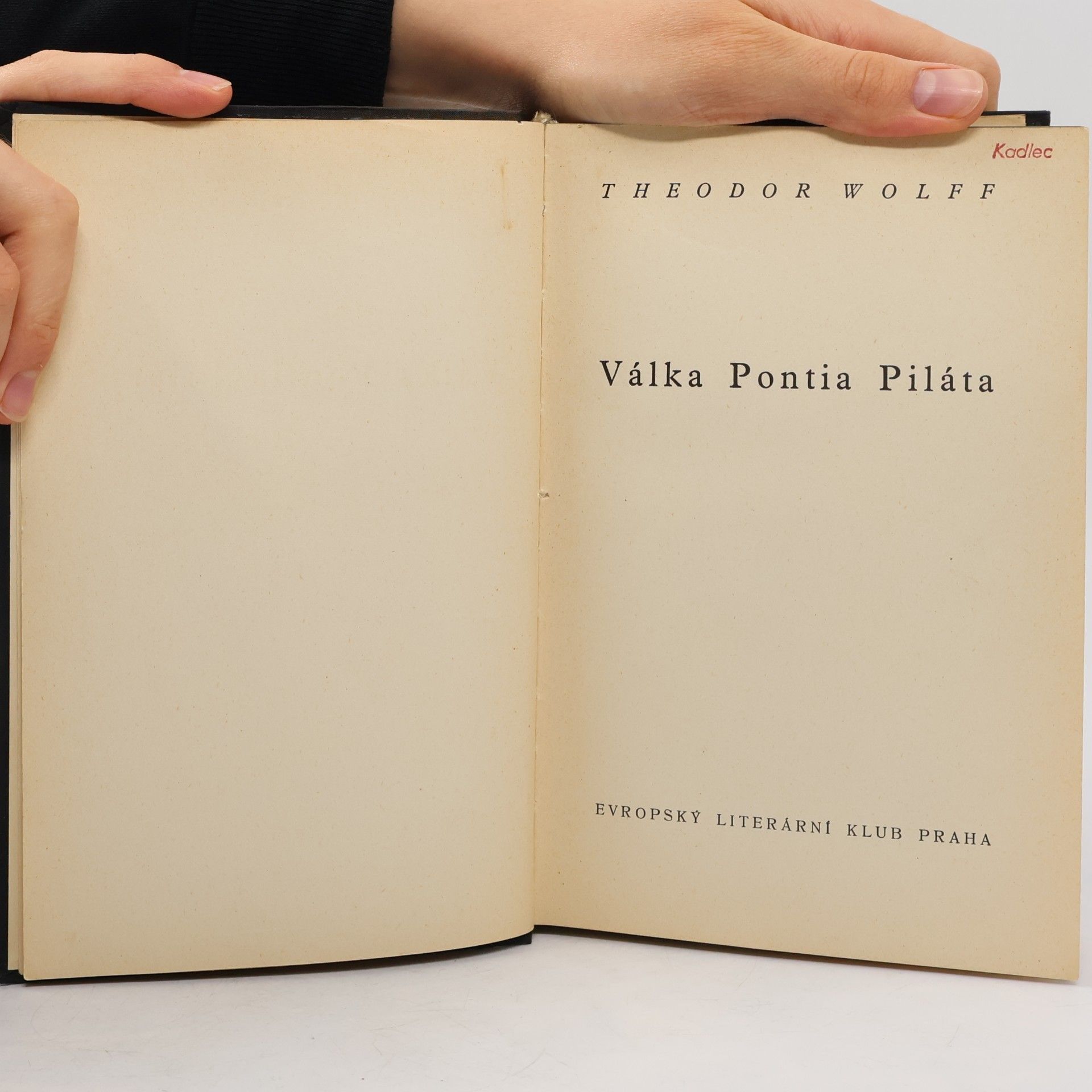 Theodor Wolff Walka z pustią