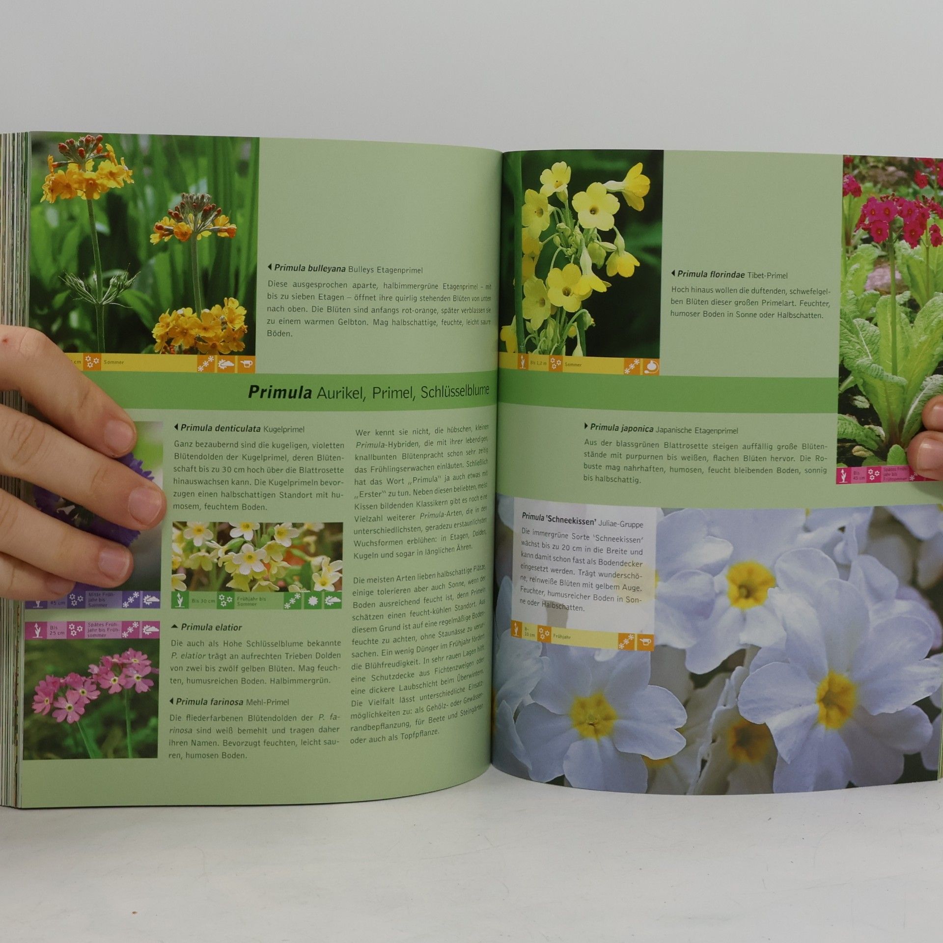 Autores varios 1001 Gartenpflanzen
