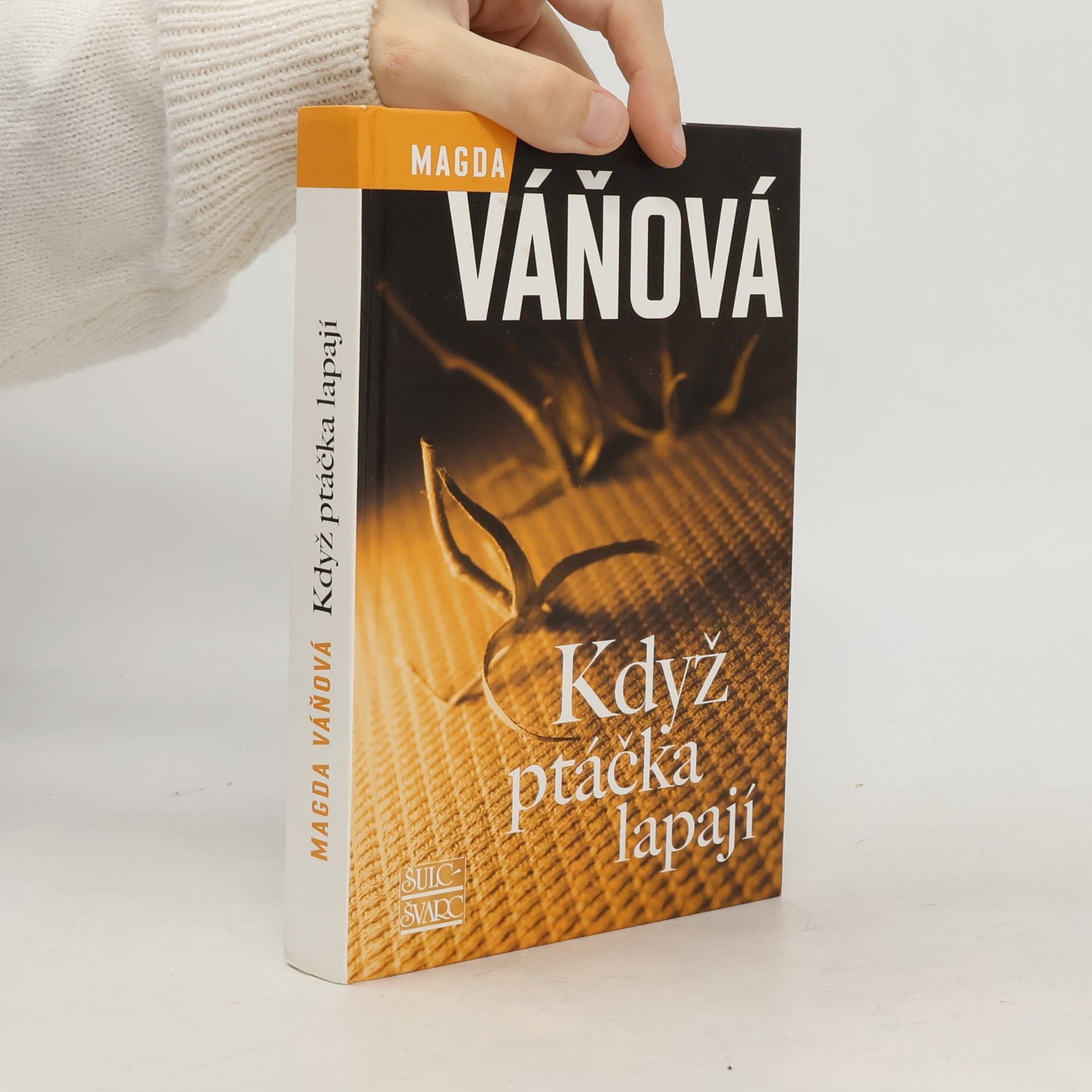 Když ptáčka lapají