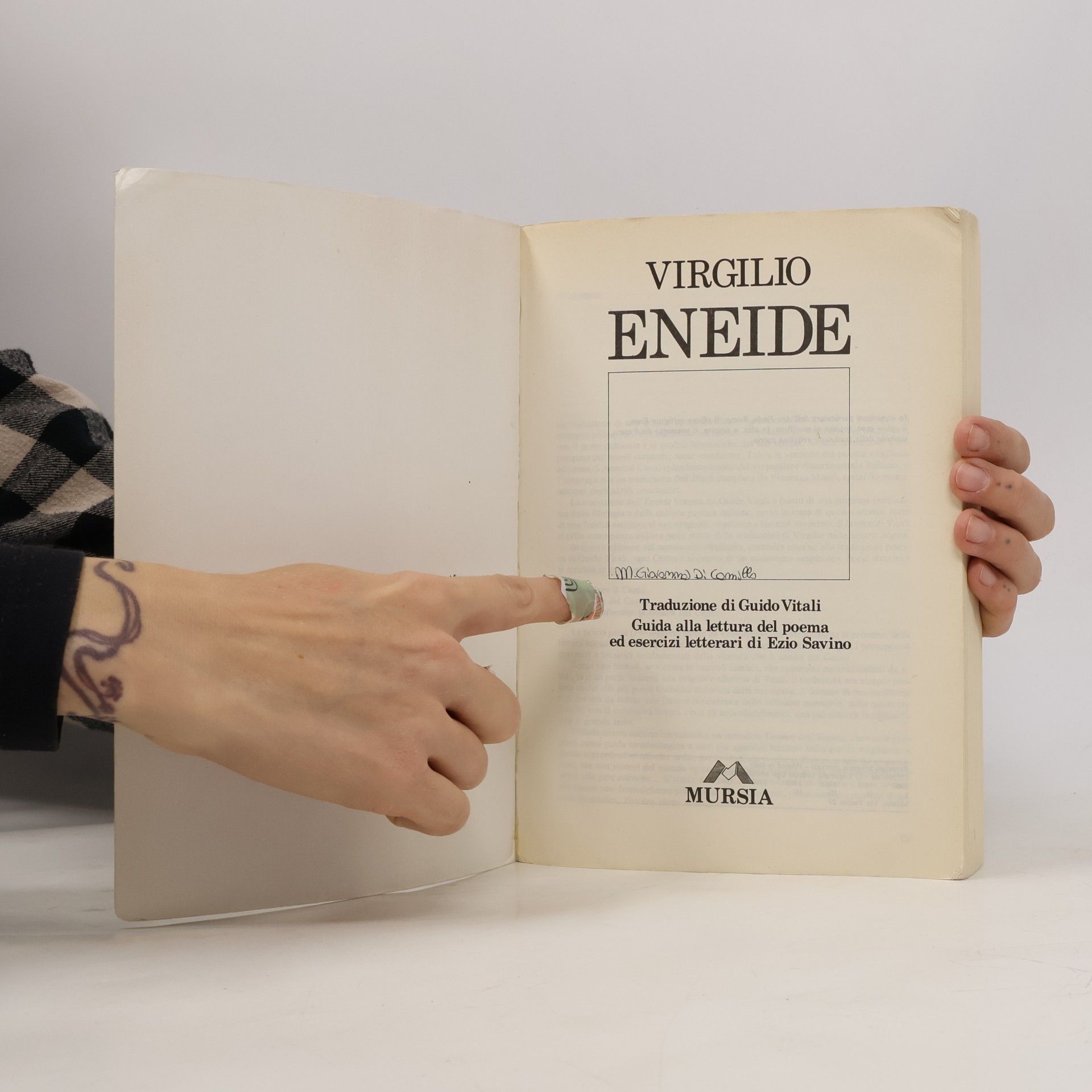 Virgilio Eneide