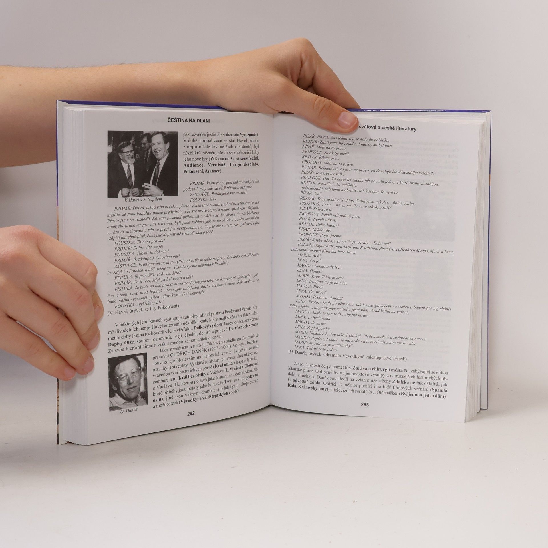 Alois Bauer Čeština na dlani. Přehled světové a české literatury