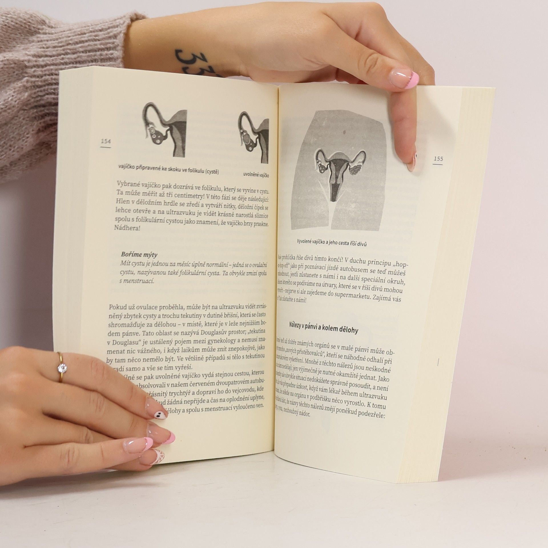 Sheila de Liz Beze studu: Vše o úžasném ženském těle