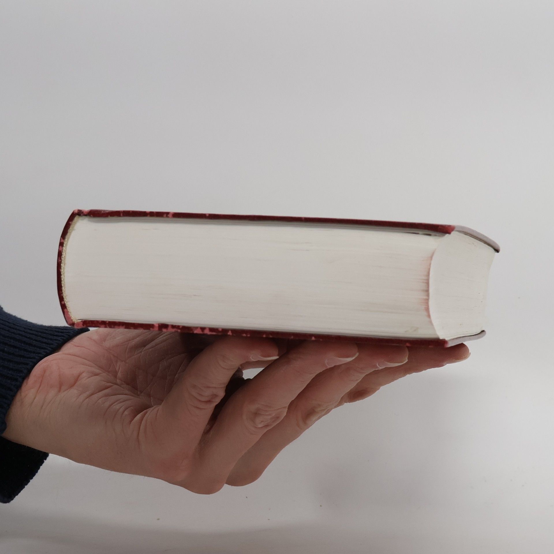 Hans Bruns Die Bibel
