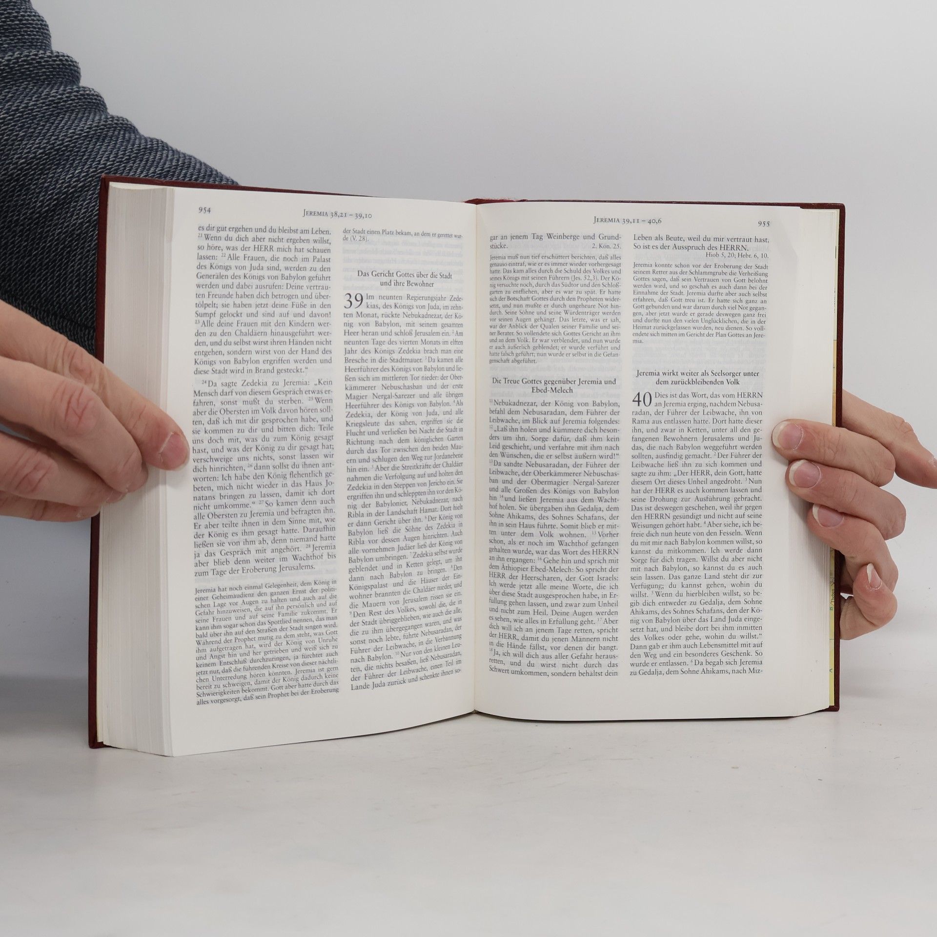 Hans Bruns Die Bibel