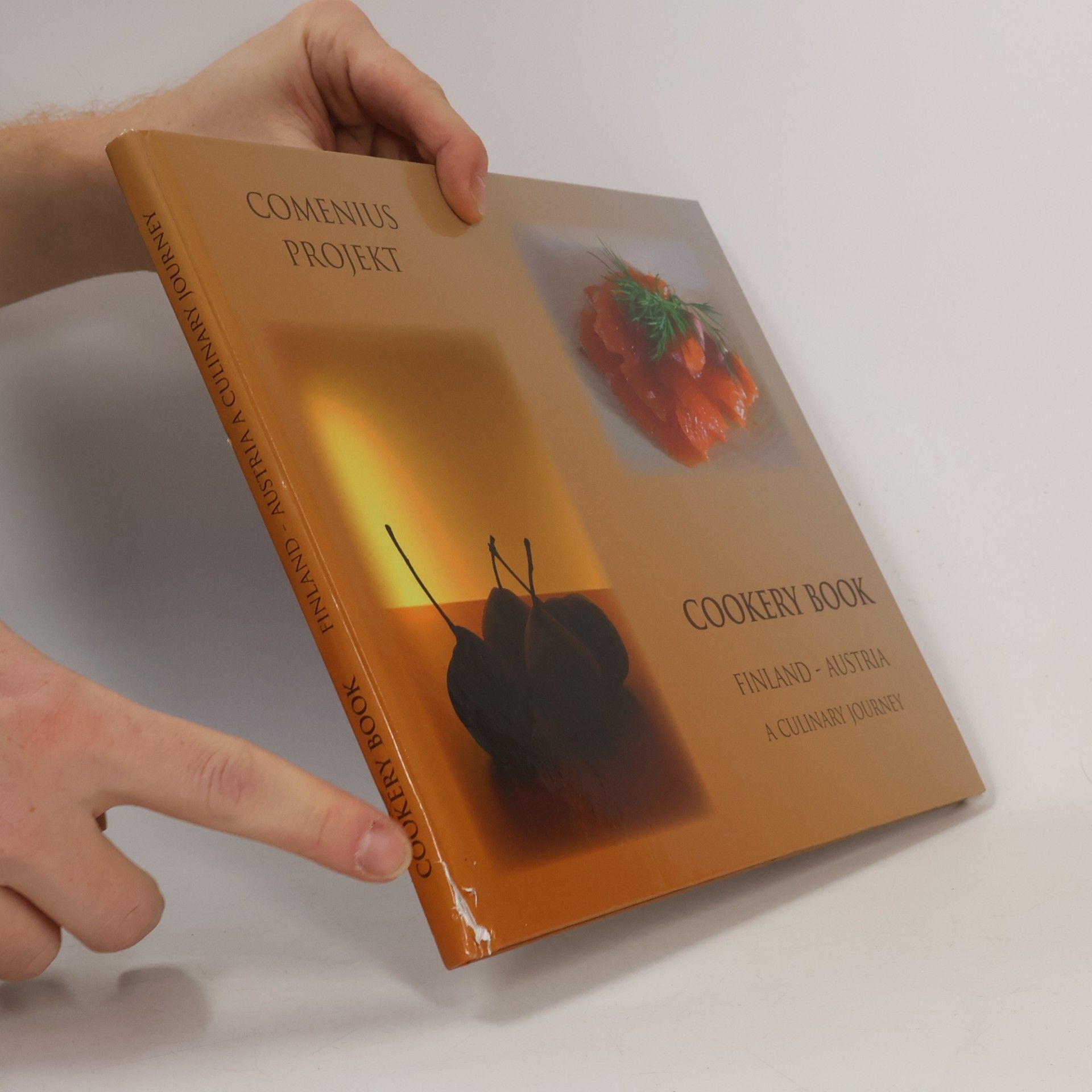 Kolektiv autorů Comenius Projekt. Cookery Book. Finland-Austria