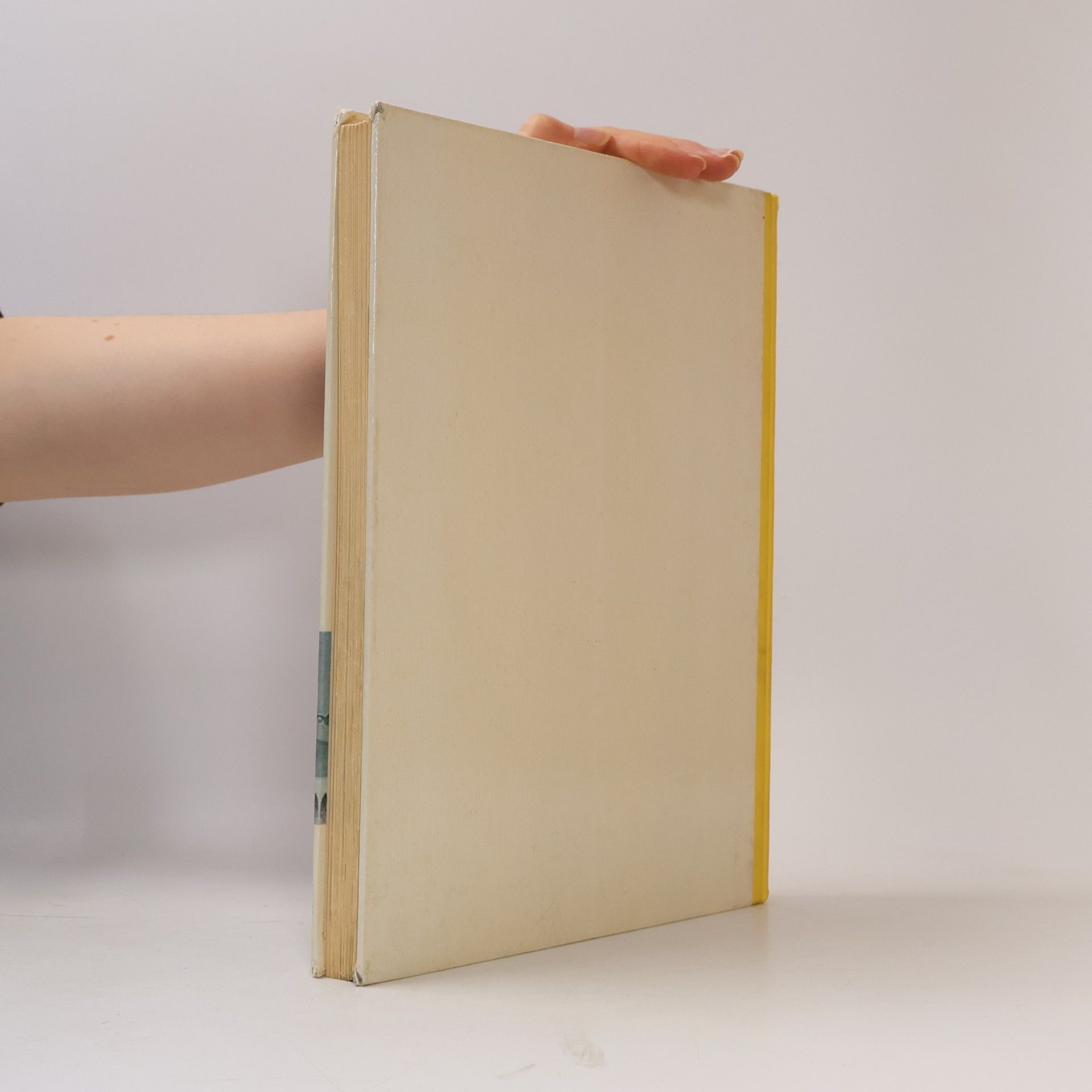 Autores varios Märchen aus 1001 Nacht