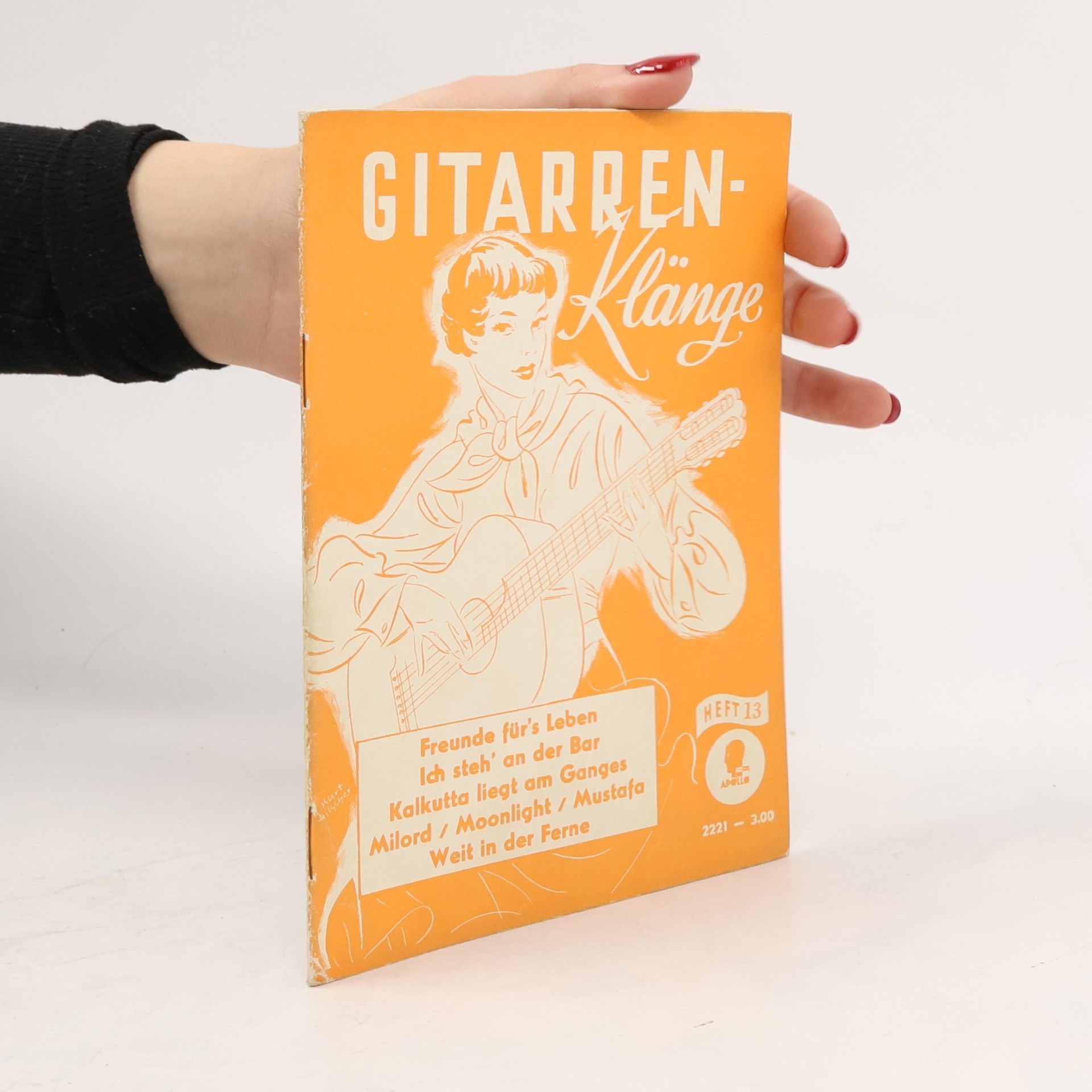 GITARREN-Klänge 13