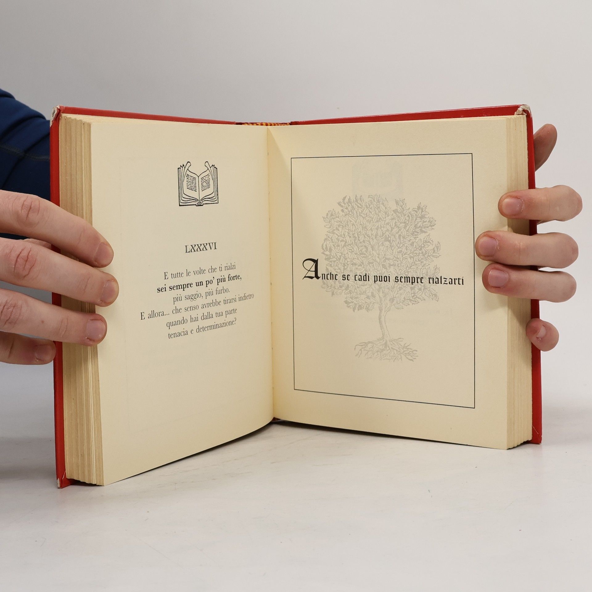 Il libro della vita