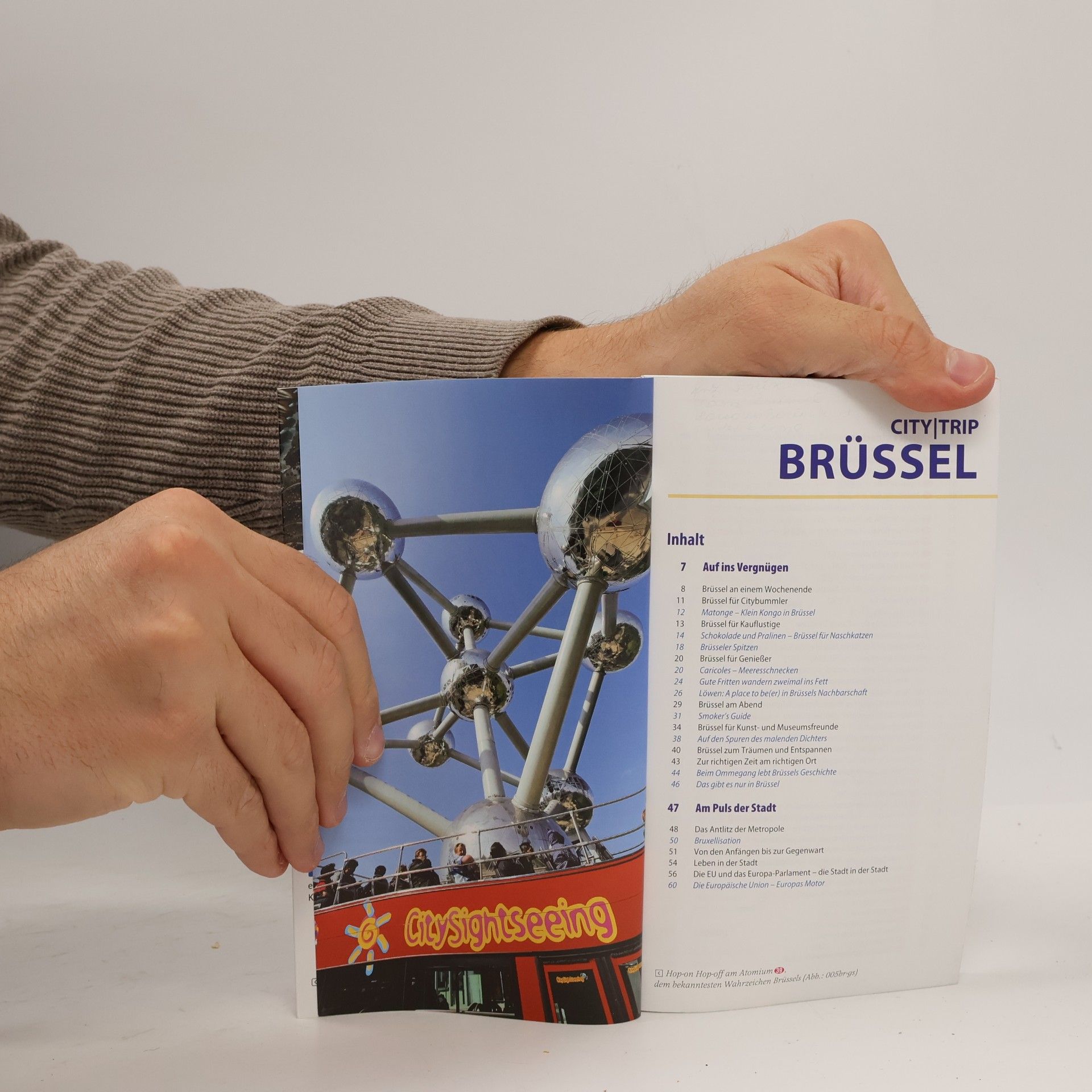 Günter Schenk City | Trip Brüssel