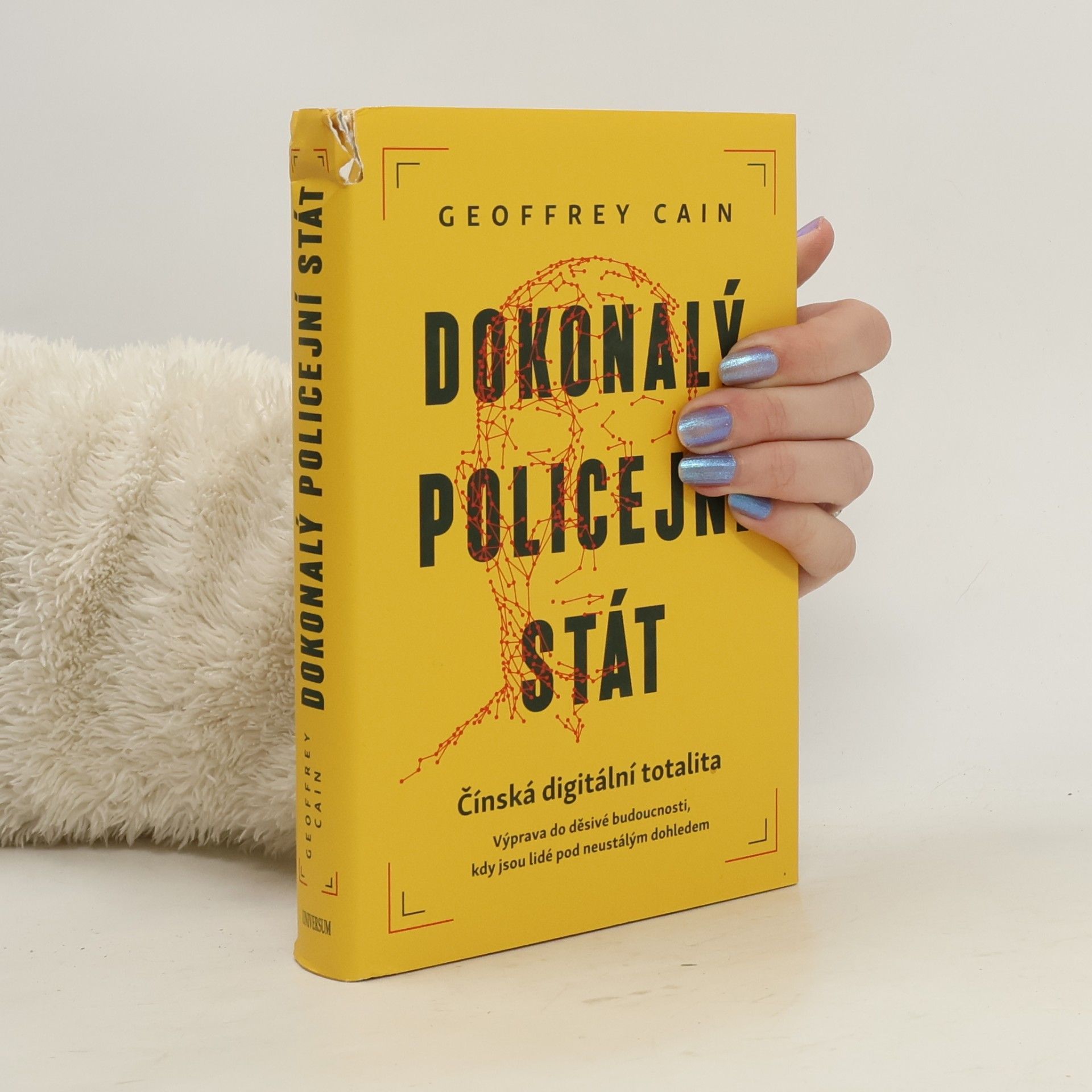 Dokonalý policejní stát. Čínská digitální totalita