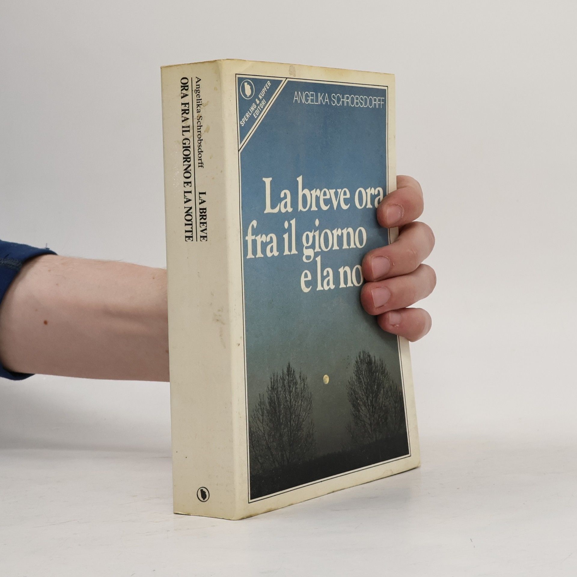 Angelika Schrobsdorff La breve ora fra il giorno e la notte