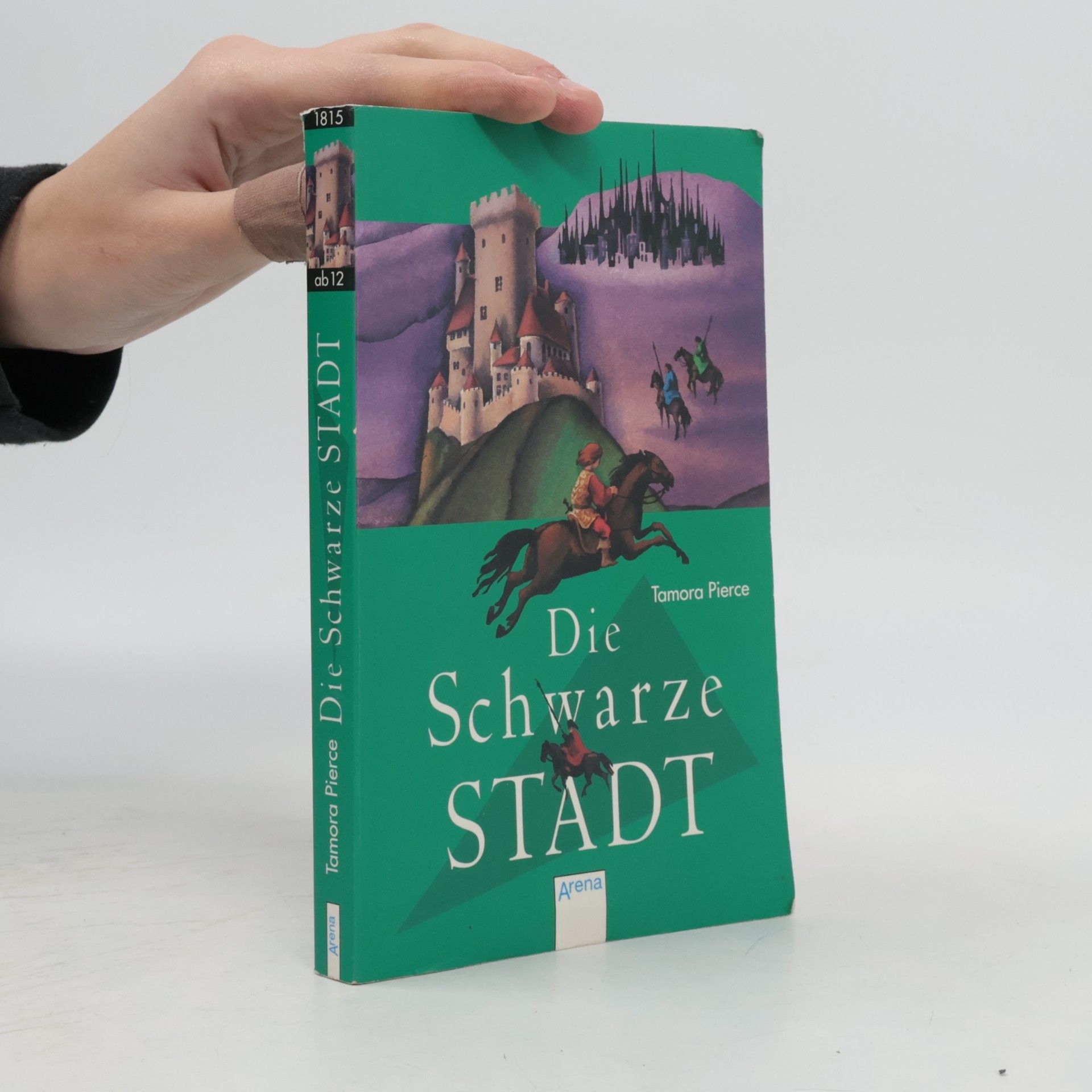 Tamora Pierce Die Schwarze Stadt