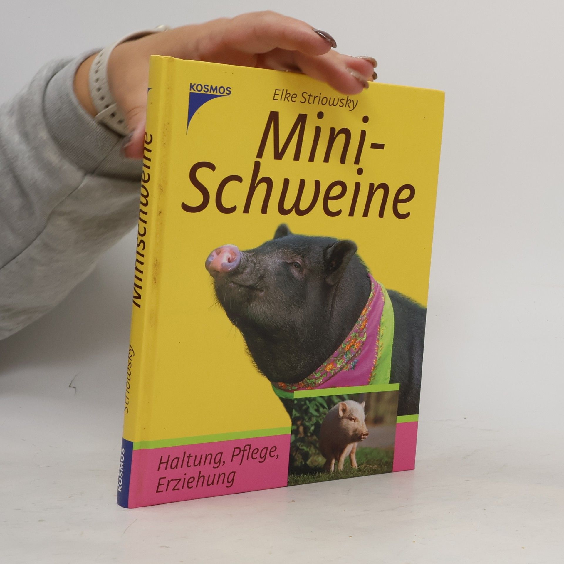 Elke Striowsky Minischweine