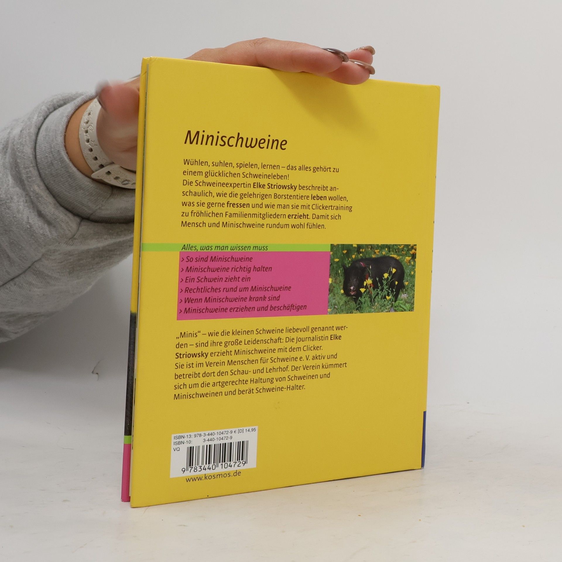 Elke Striowsky Minischweine