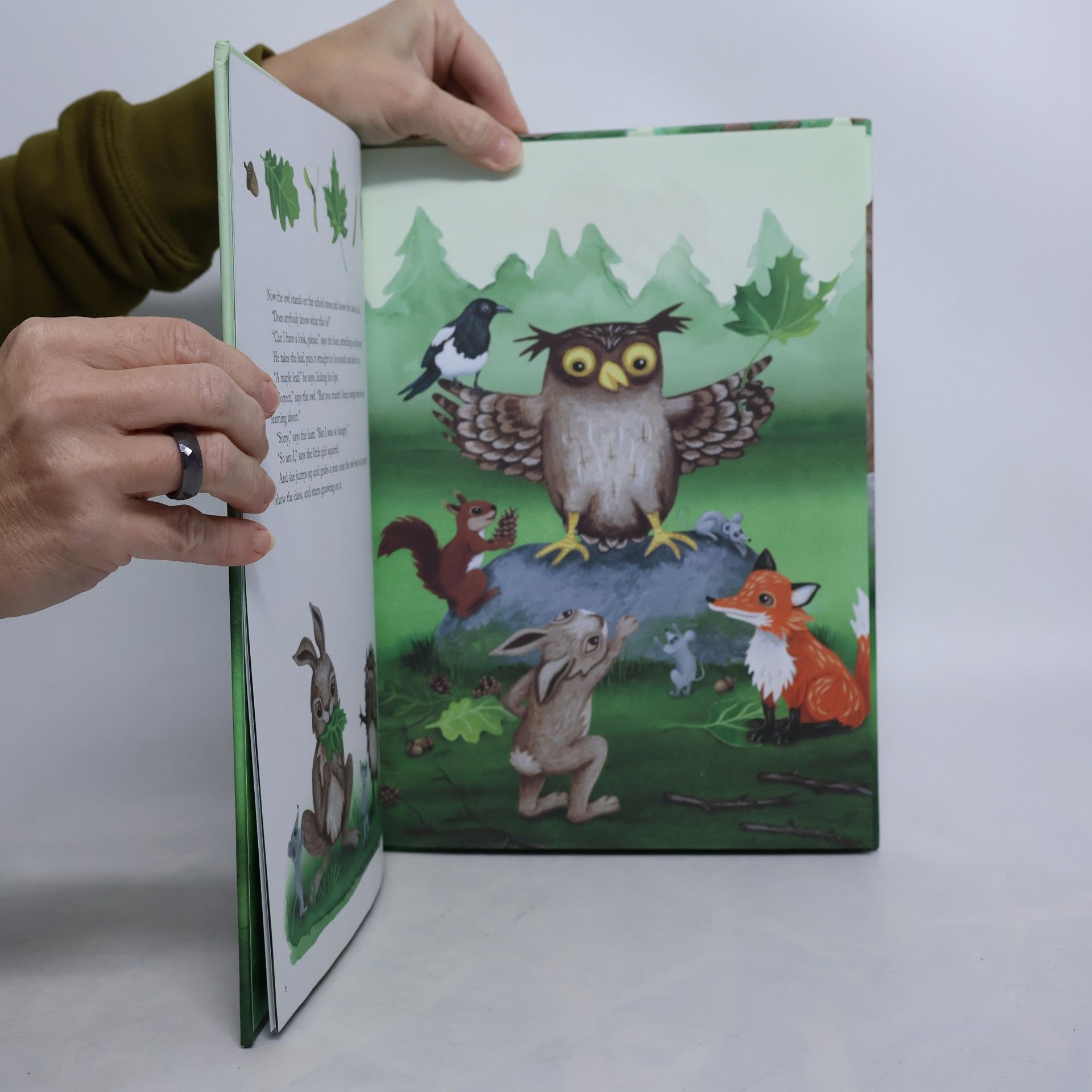 Ulf Stark The Owl Goes on Holiday