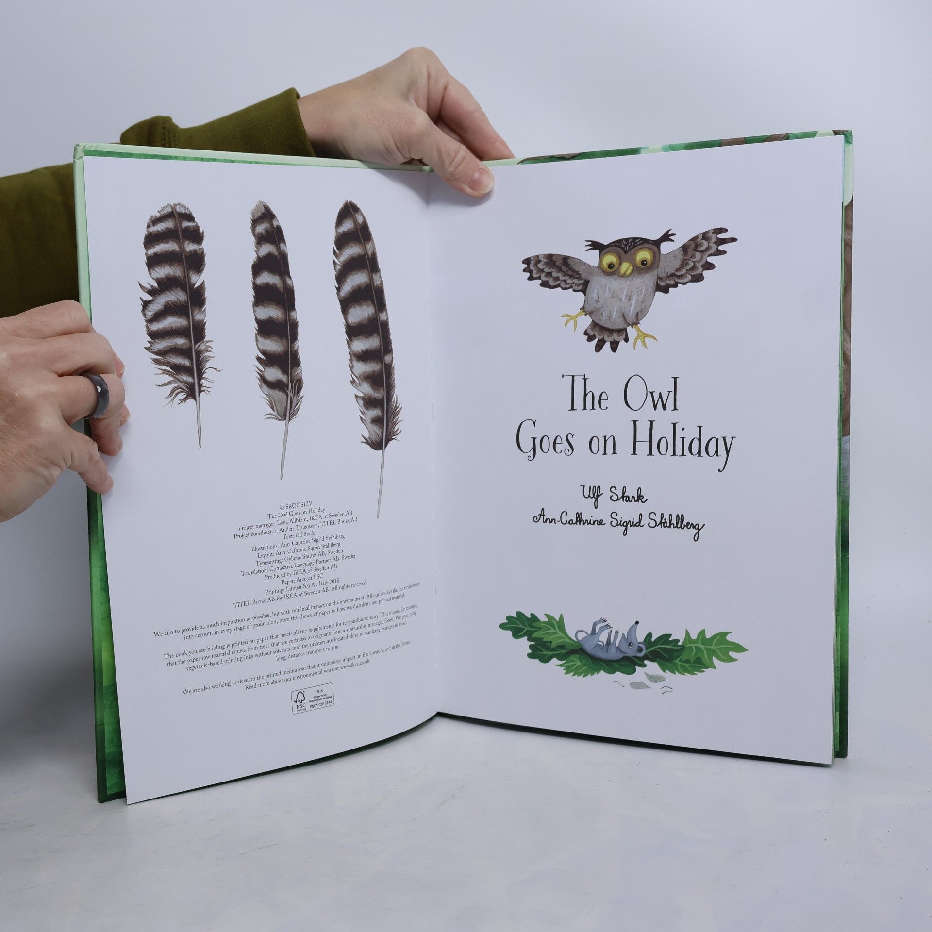 Ulf Stark The Owl Goes on Holiday