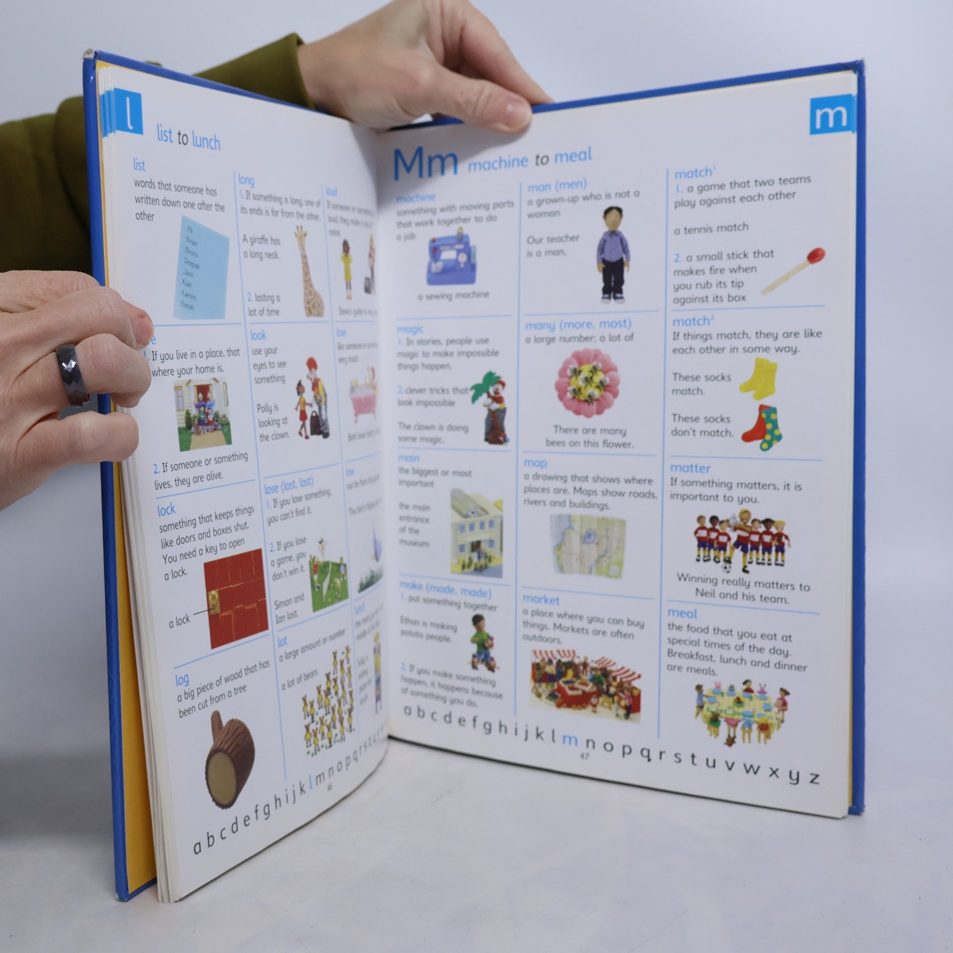 Felicity Brooks The Usborne Picture Dictionary in English