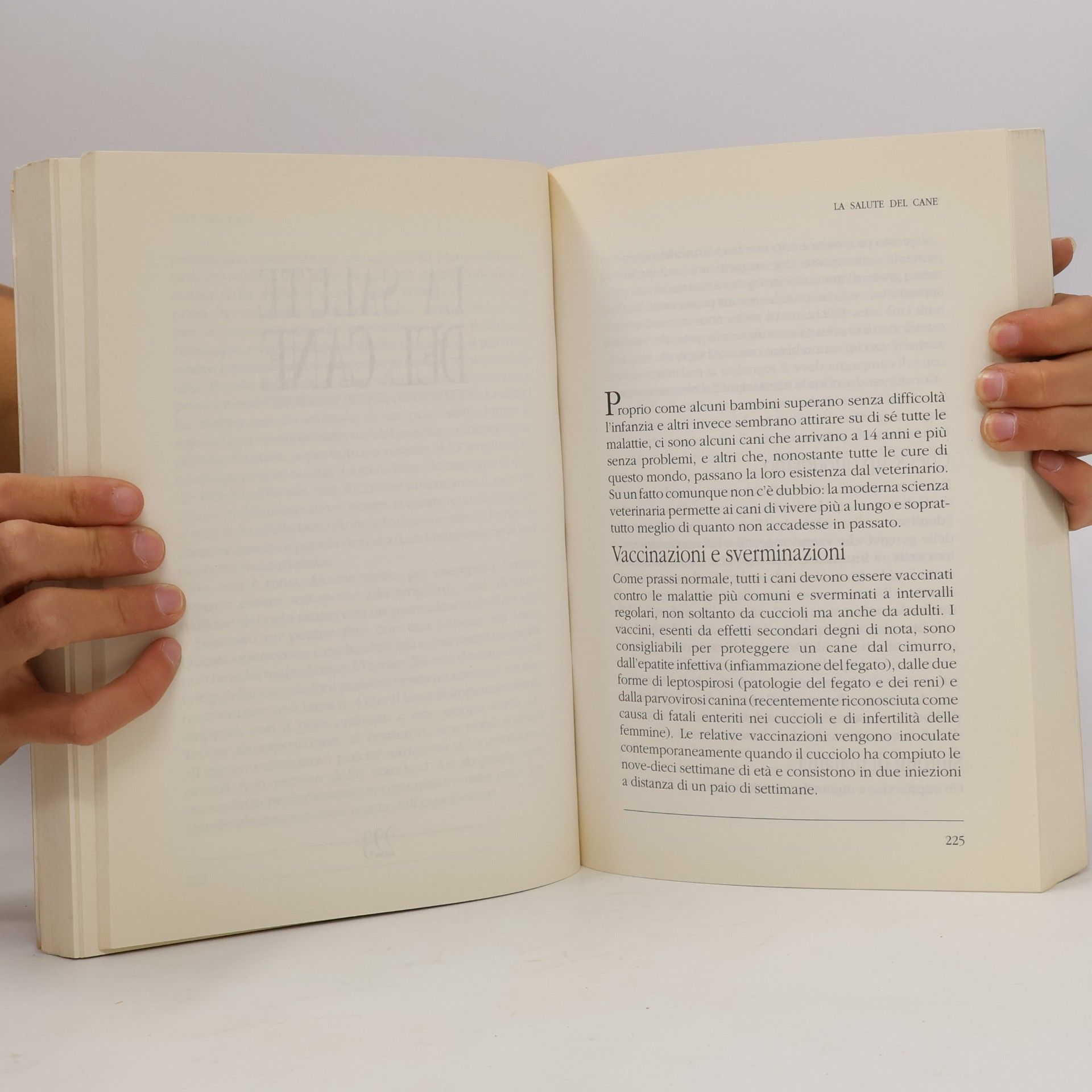 Studio Valter Bacciocchi IL LIBRO DEL CANE
