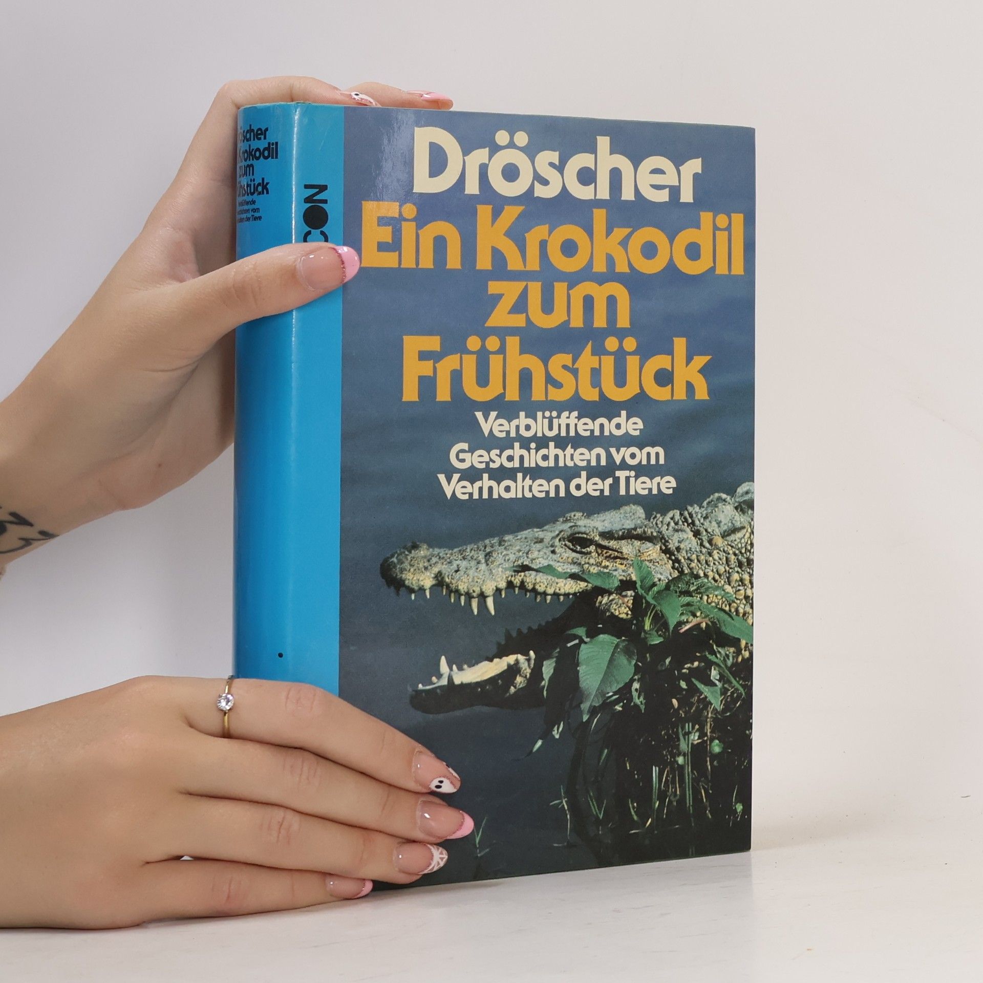 Ein Krokodil zum Frühstück