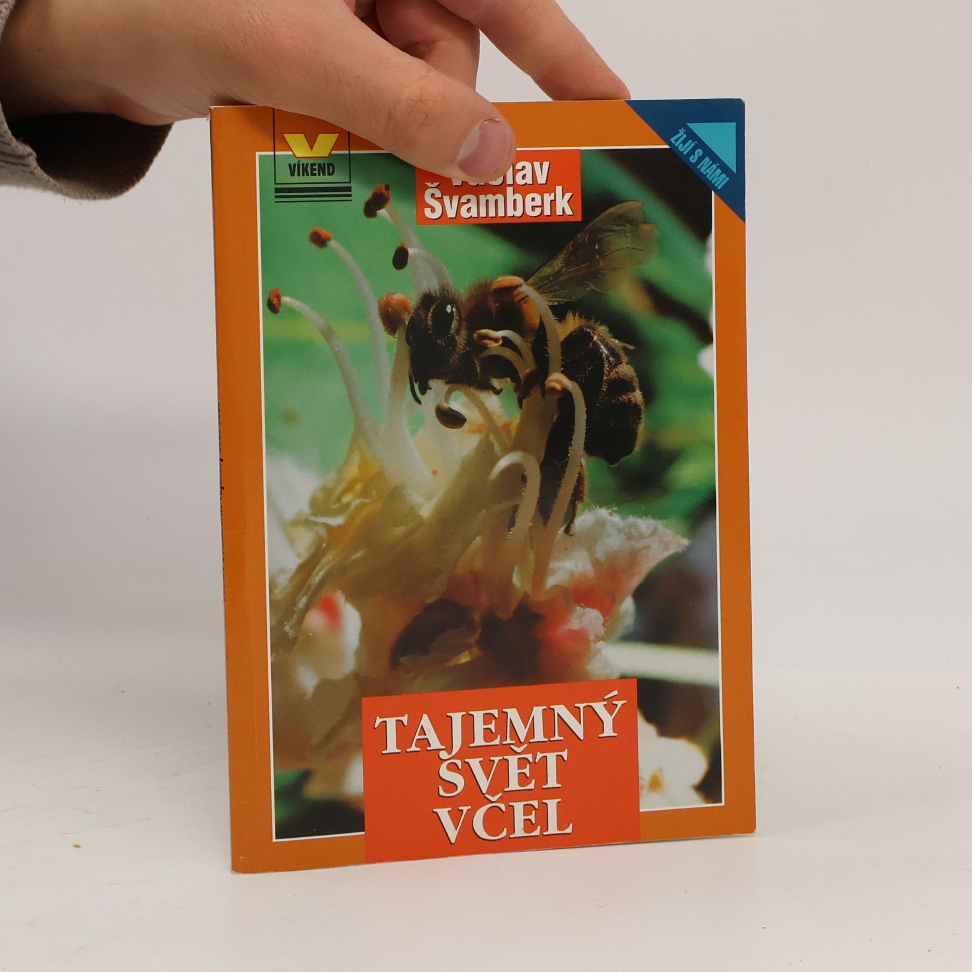 Tajemný svět včel