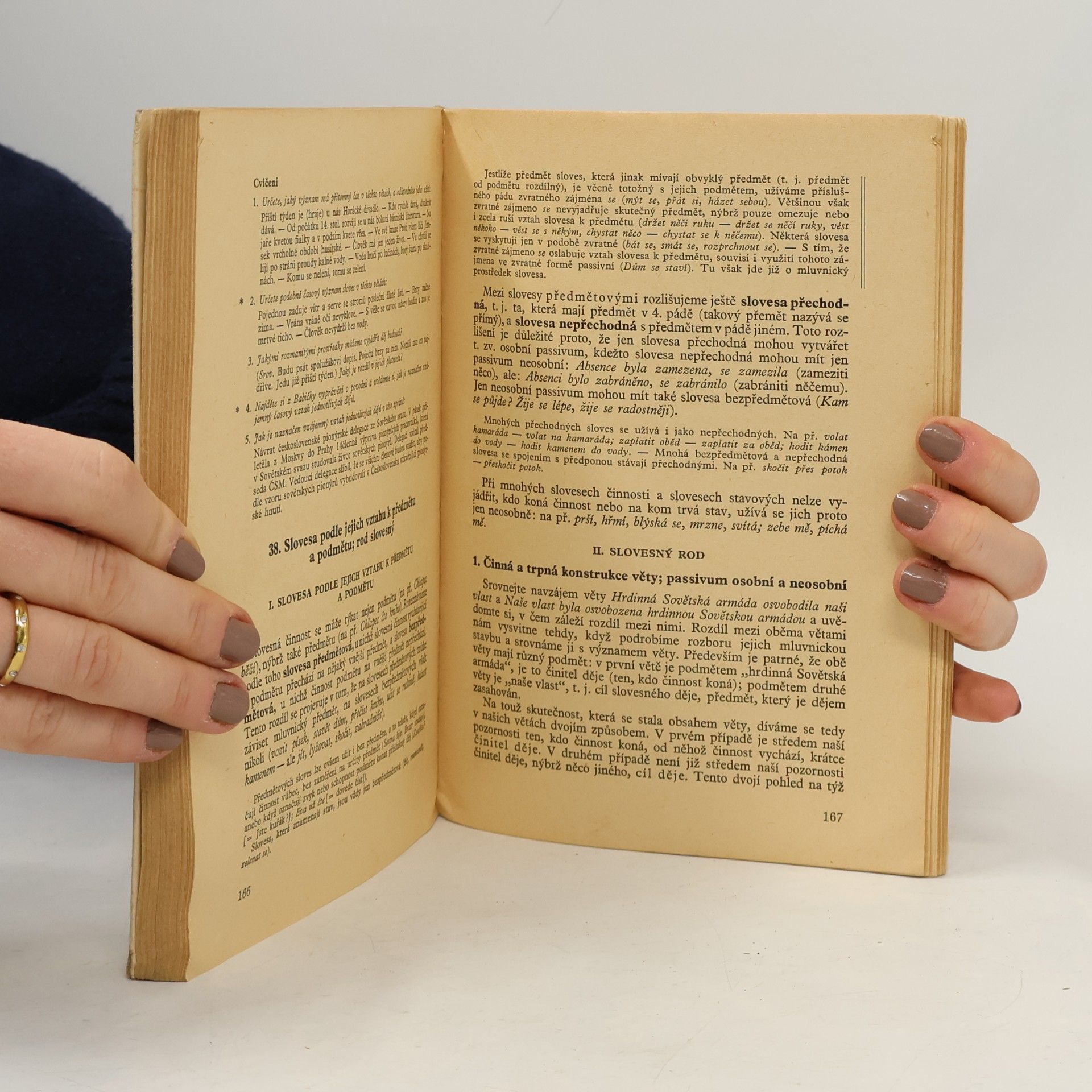 Various authors Český jazyk 9