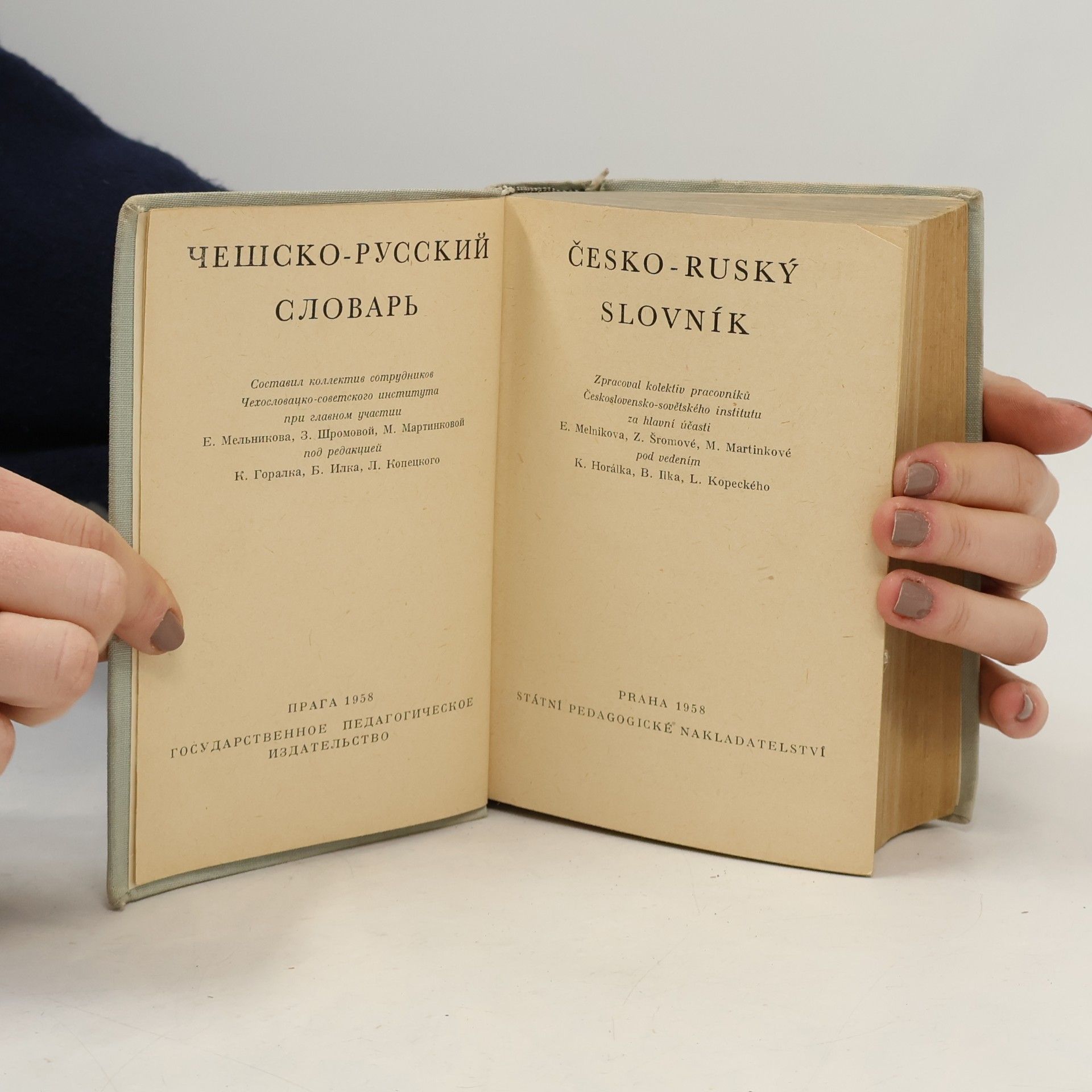 E. Melnikova Česko - ruský slovník
