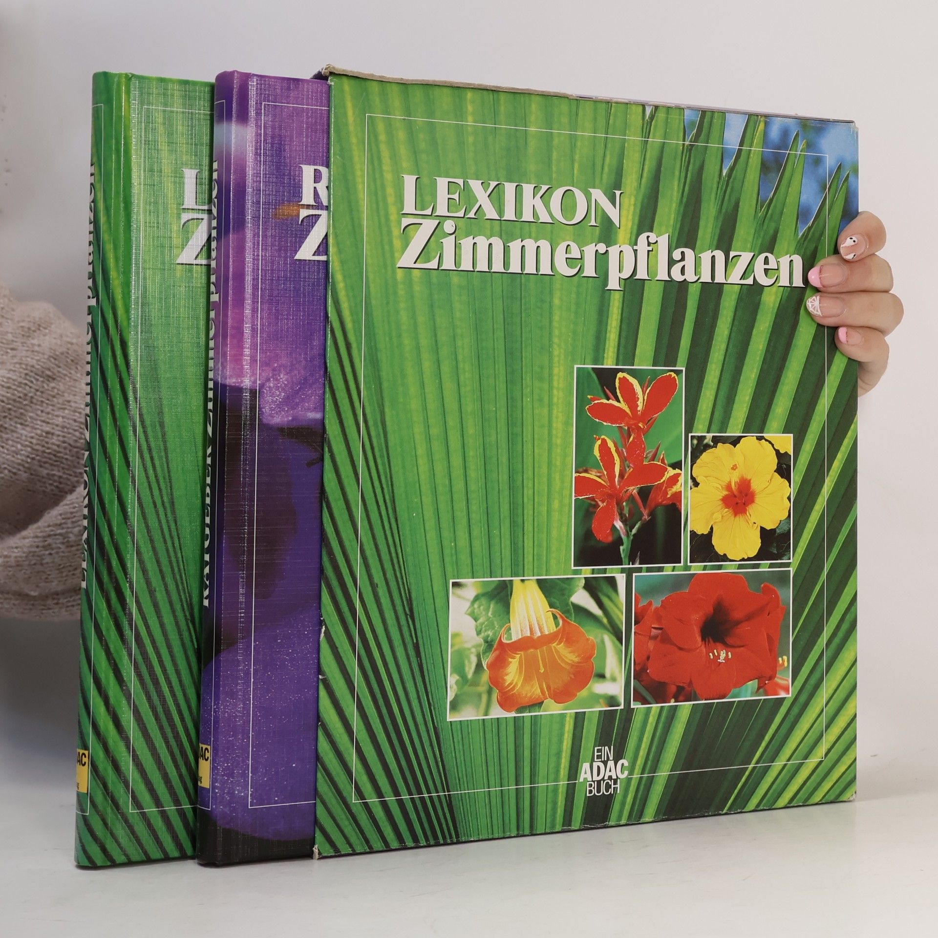 Lexikon Zimmerpflanzen