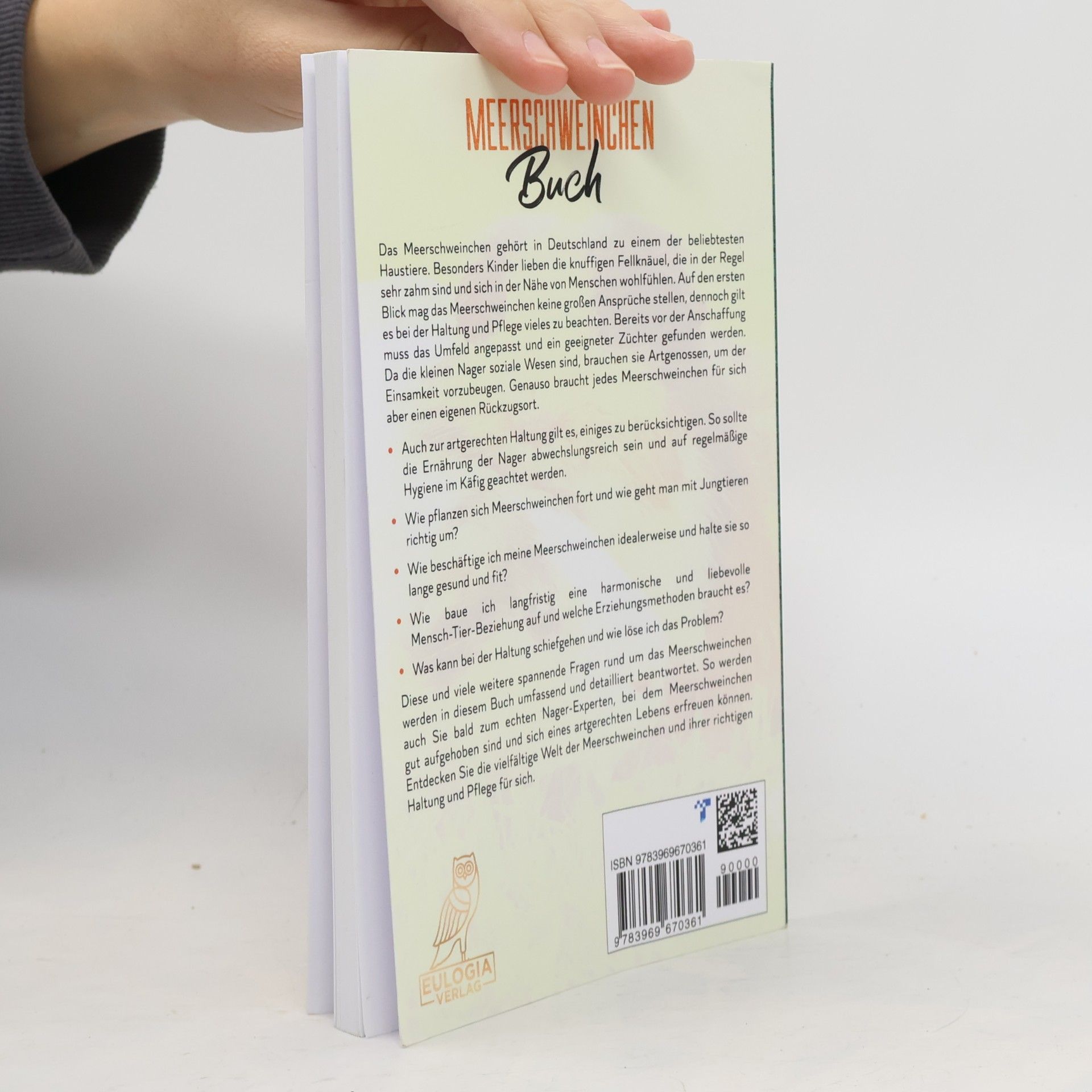 Jakob Seifert Meerschweinchen Buch