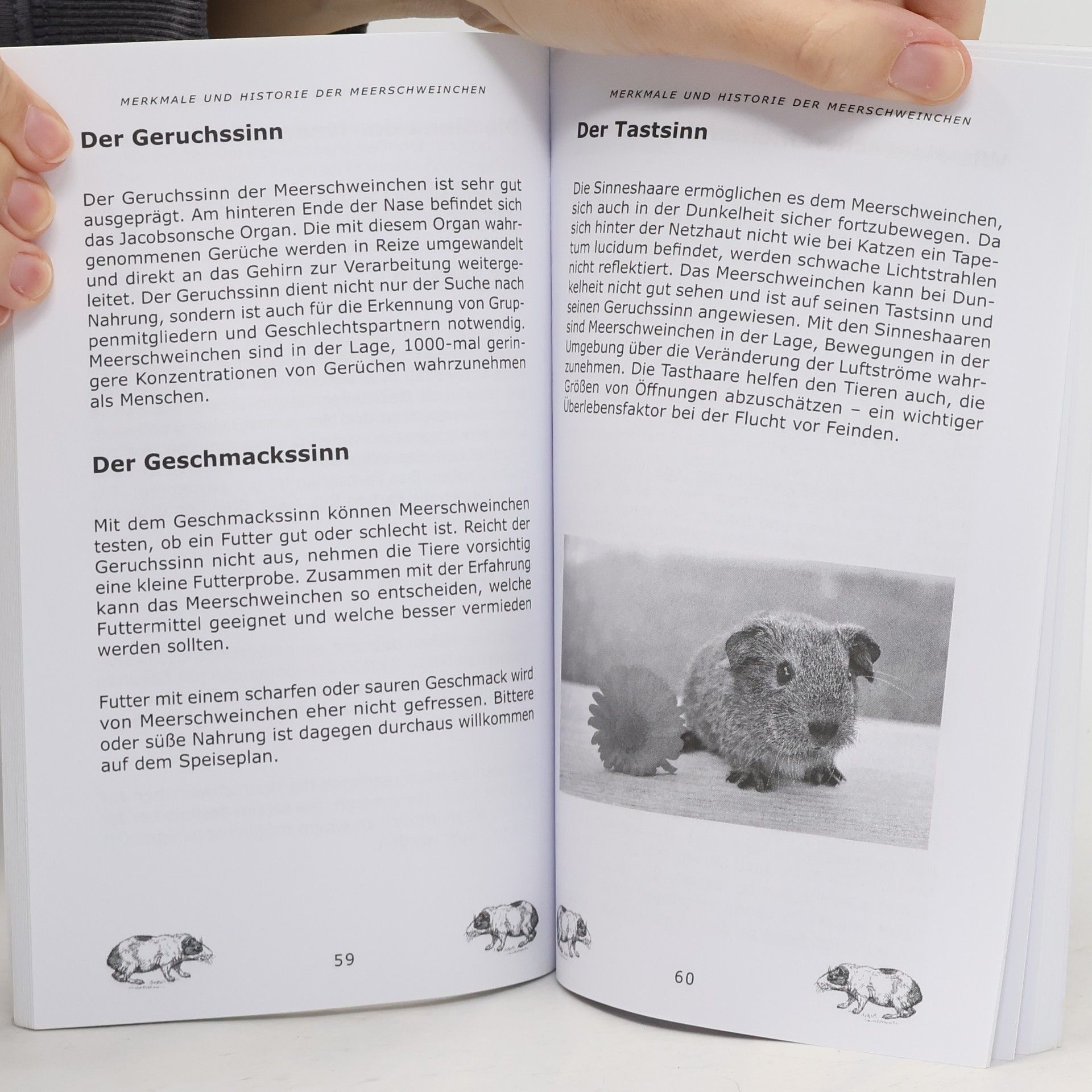 Jakob Seifert Meerschweinchen Buch