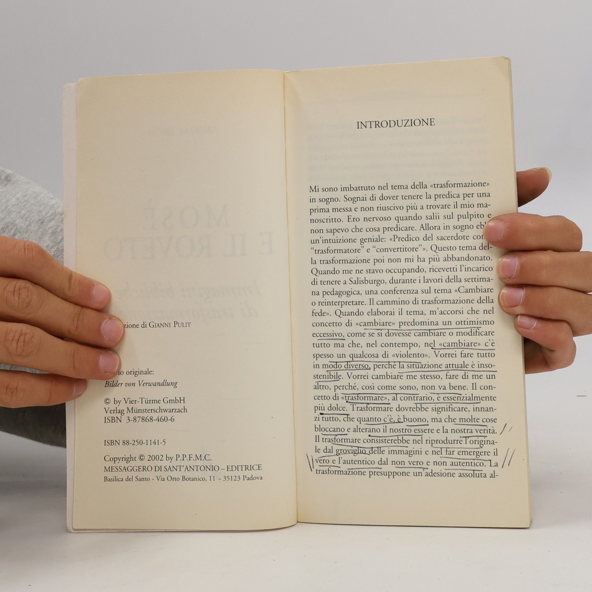 Anselm Grün Riflessi: Mosè e il roveto. Immagini bibliche di trasformazione