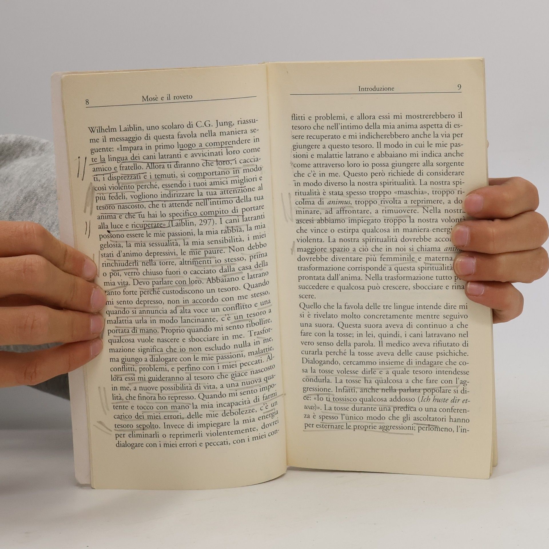 Anselm Grün Riflessi: Mosè e il roveto. Immagini bibliche di trasformazione