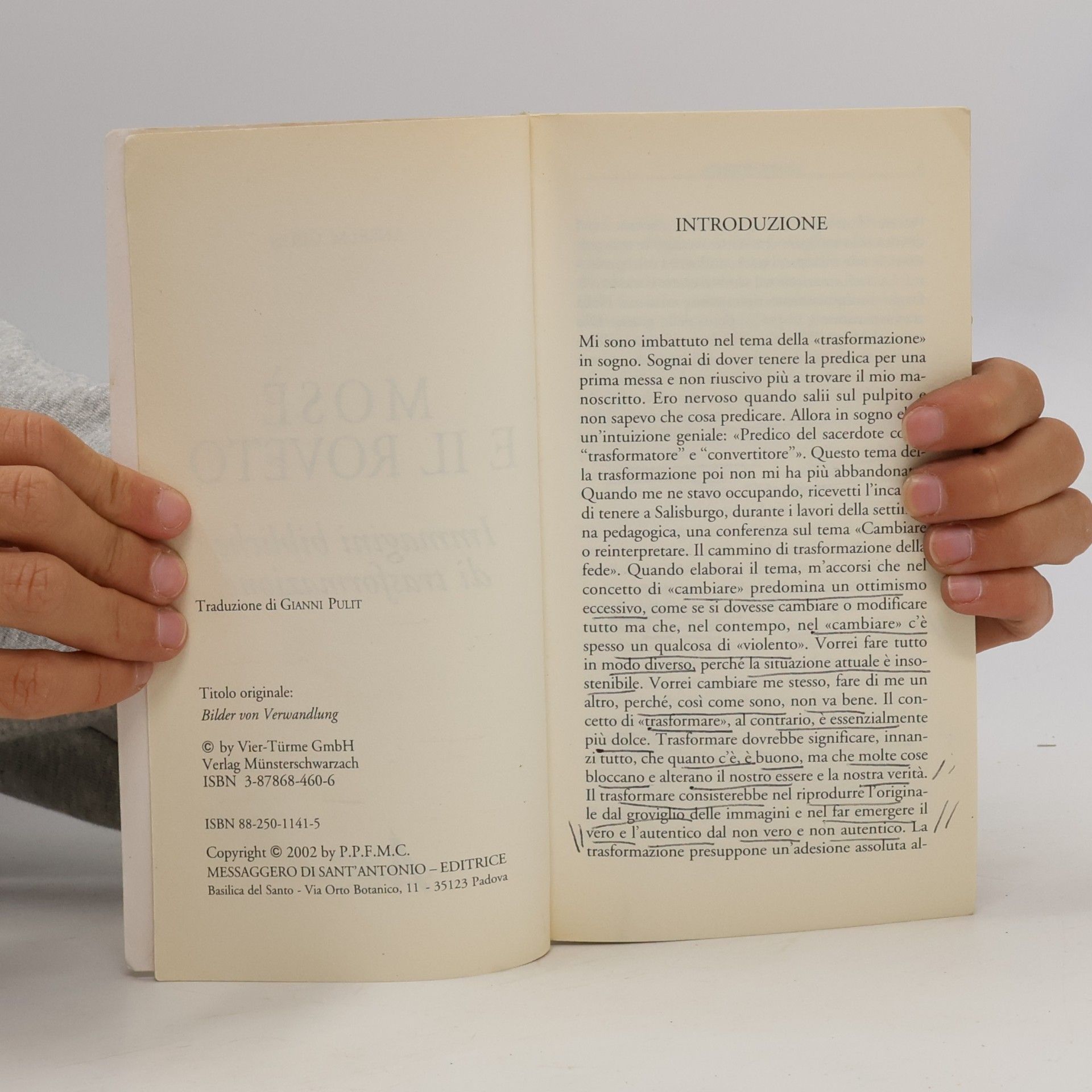 Anselm Grün Riflessi: Mosè e il roveto. Immagini bibliche di trasformazione
