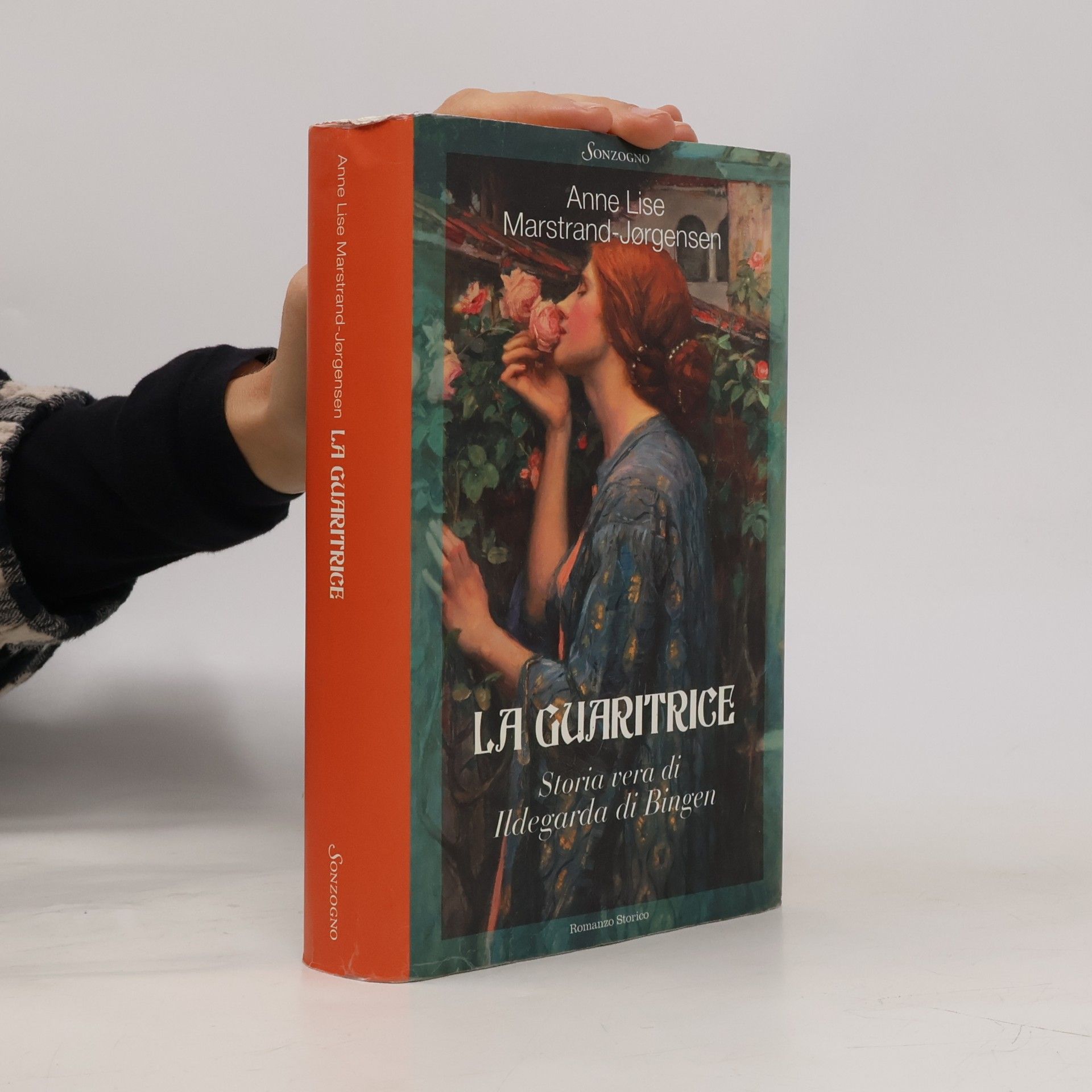 Anne Lise Marstrand Jørgensen Romanzi: La guaritrice. Storia vera di Ildegarda di Bingen