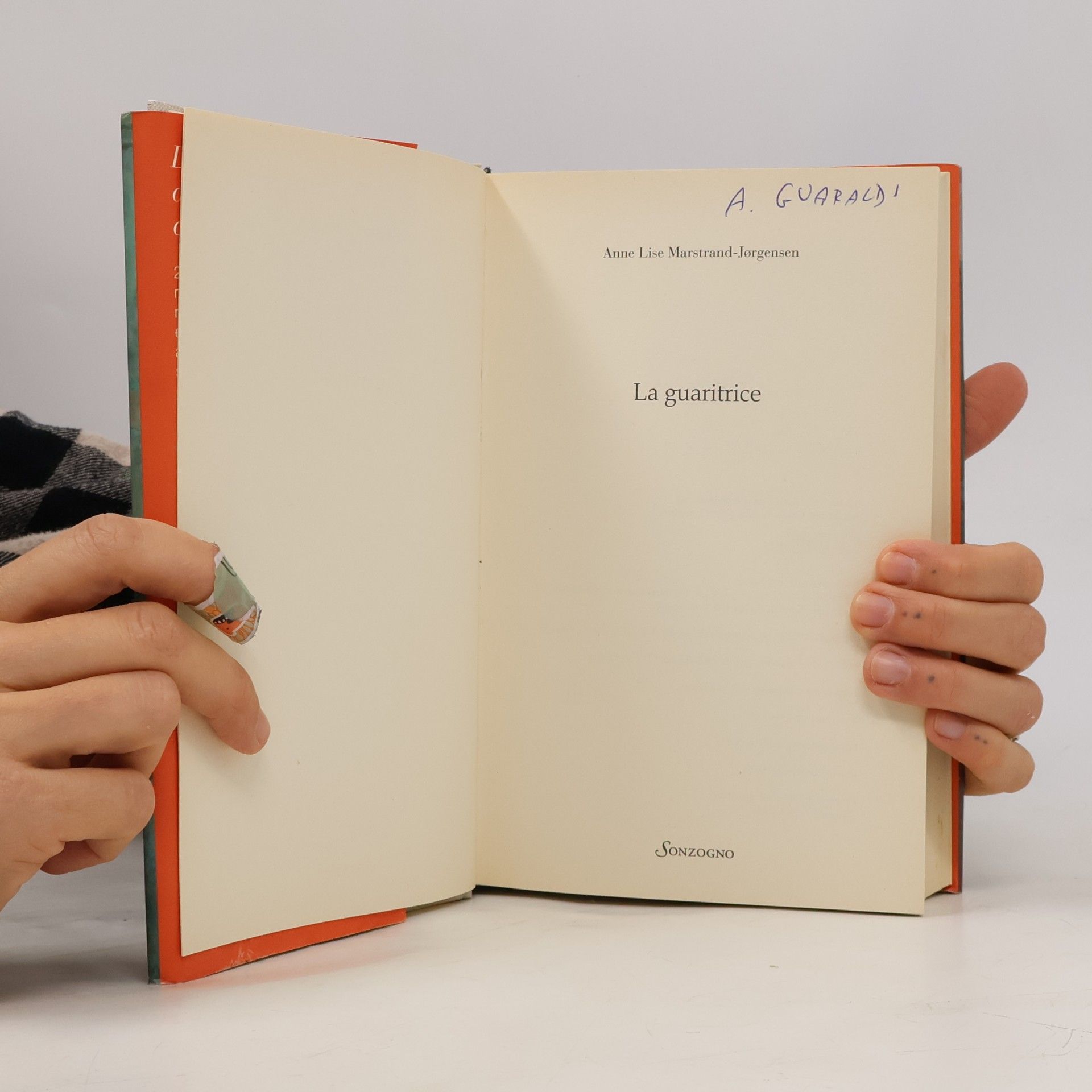 Anne Lise Marstrand Jørgensen Romanzi: La guaritrice. Storia vera di Ildegarda di Bingen