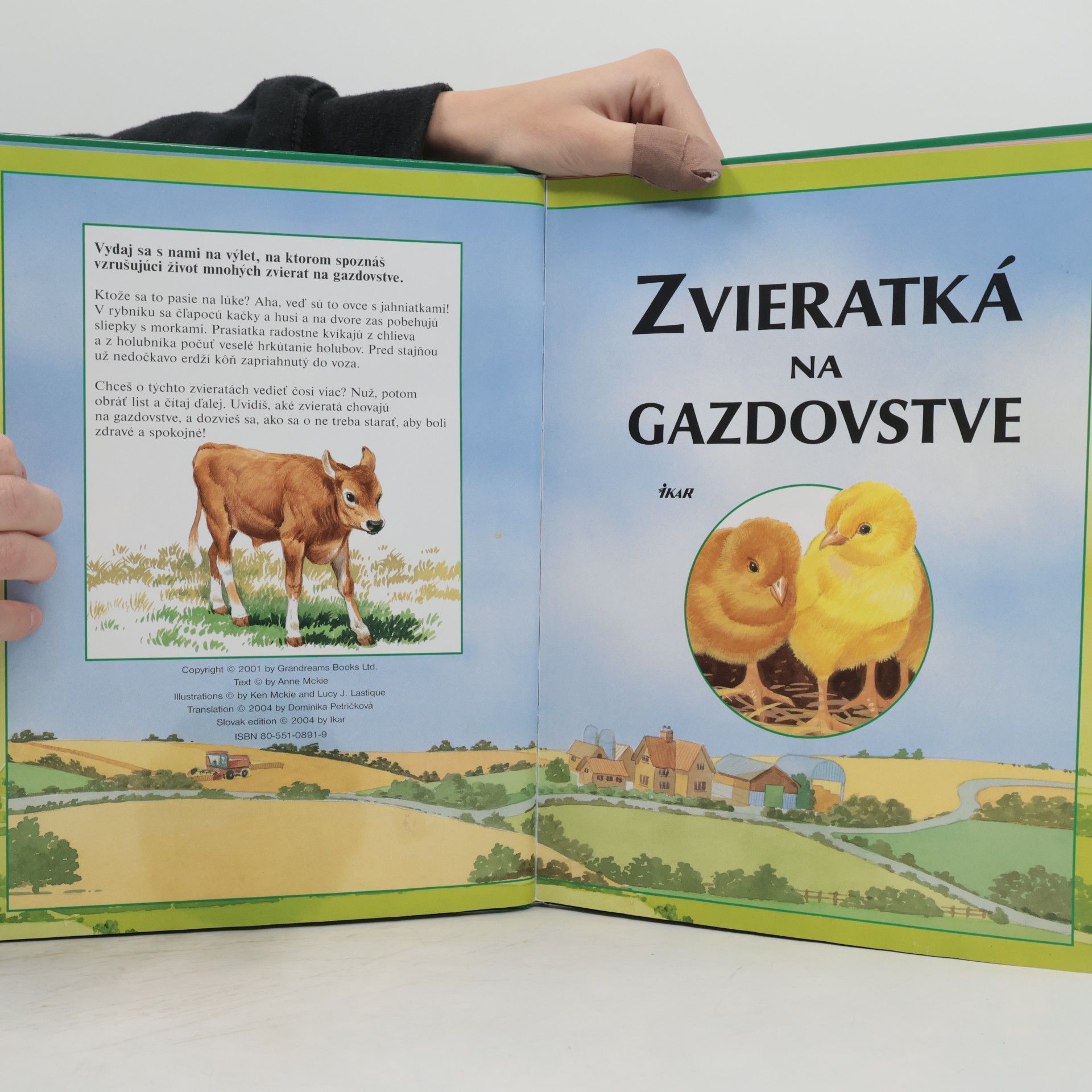 Ann McKie Zvieratká na gazdovstve