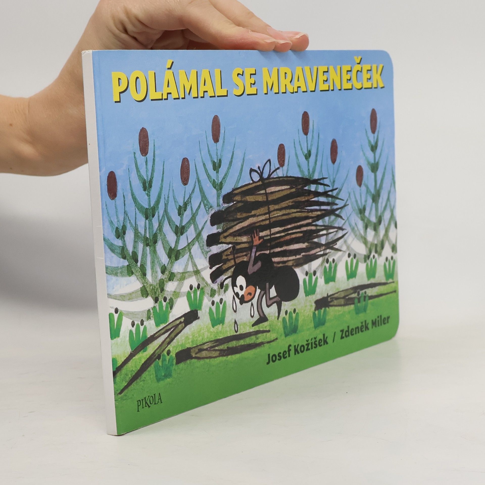 Polámal se mraveneček