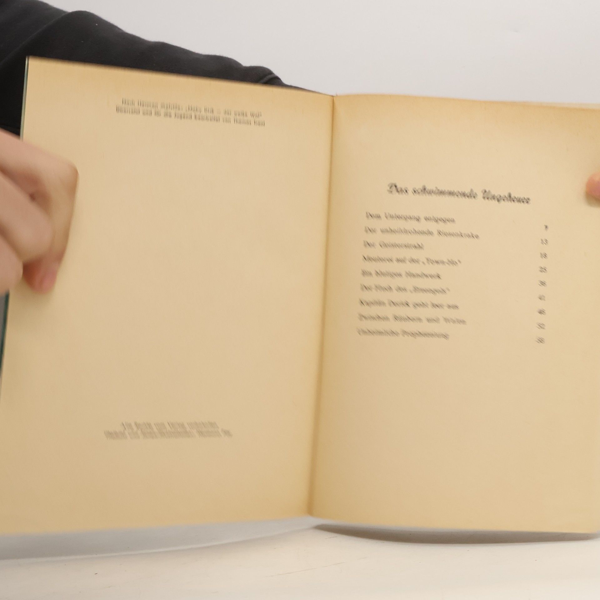 Herman Melville Der Weiße Wal